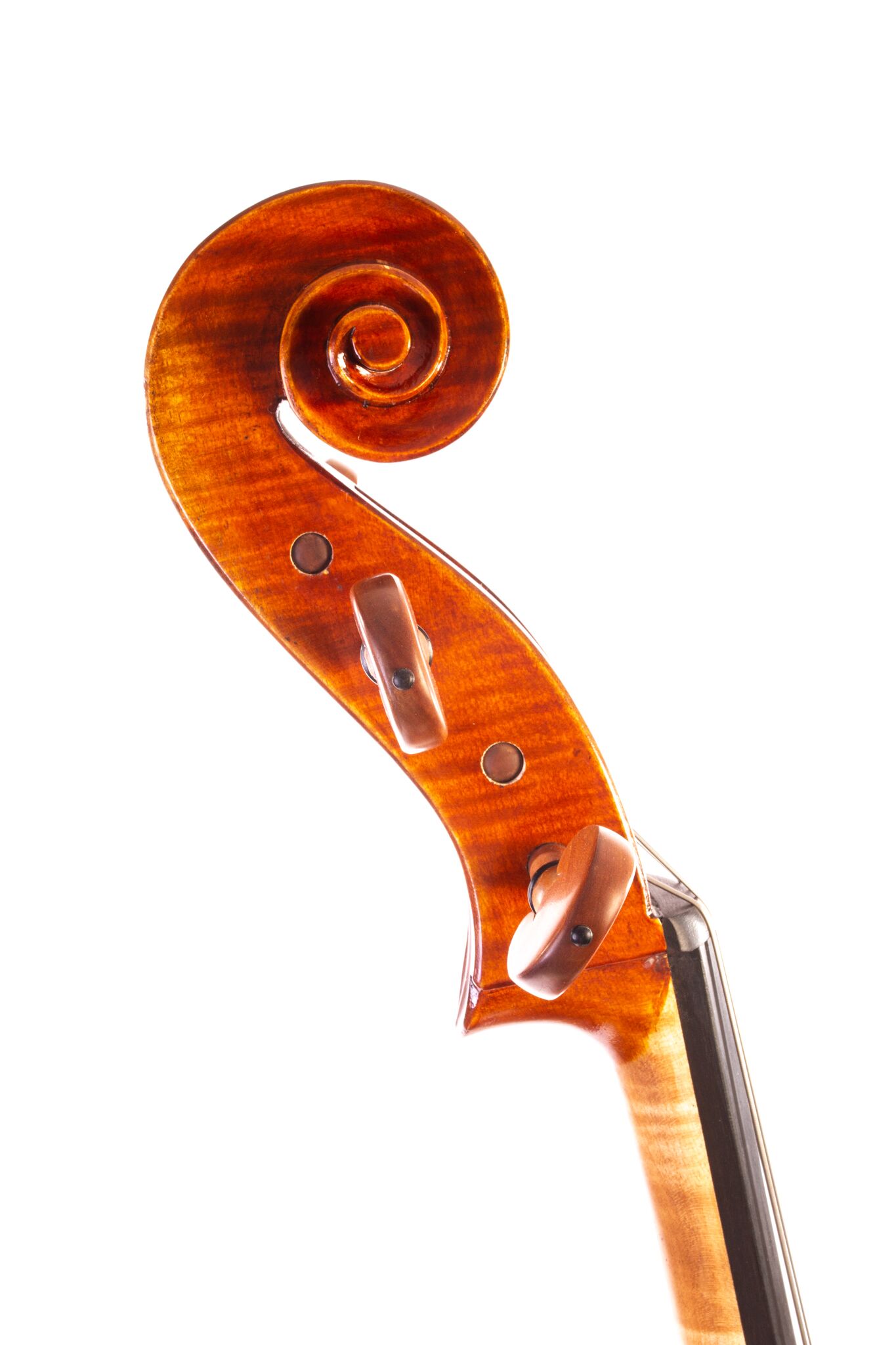 eastman-pietro-lombardi-cello-1