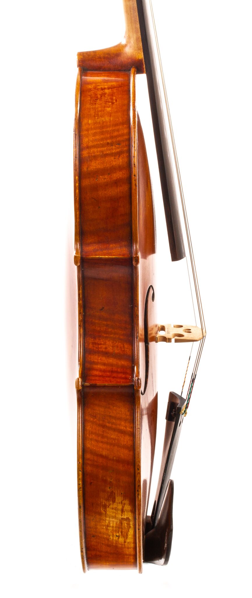 Robert McCluskie Viola 1999 - 15 3/4 Length of Back | Dolce Violins