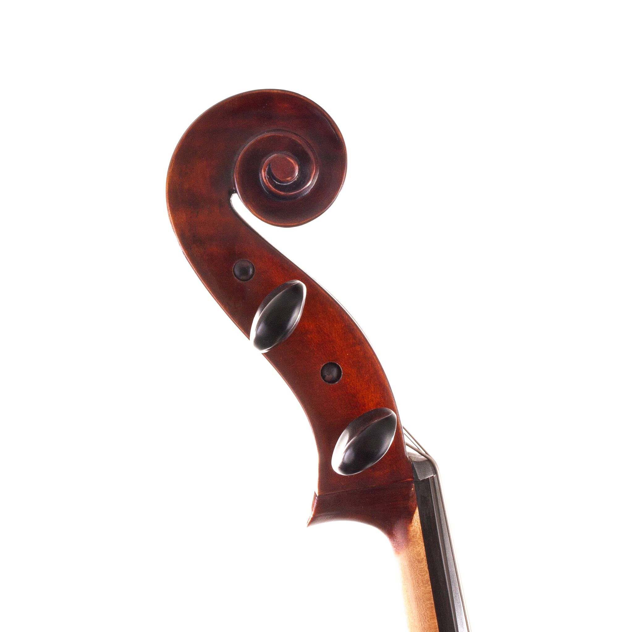 ivan-dunov-eastman-cello-06