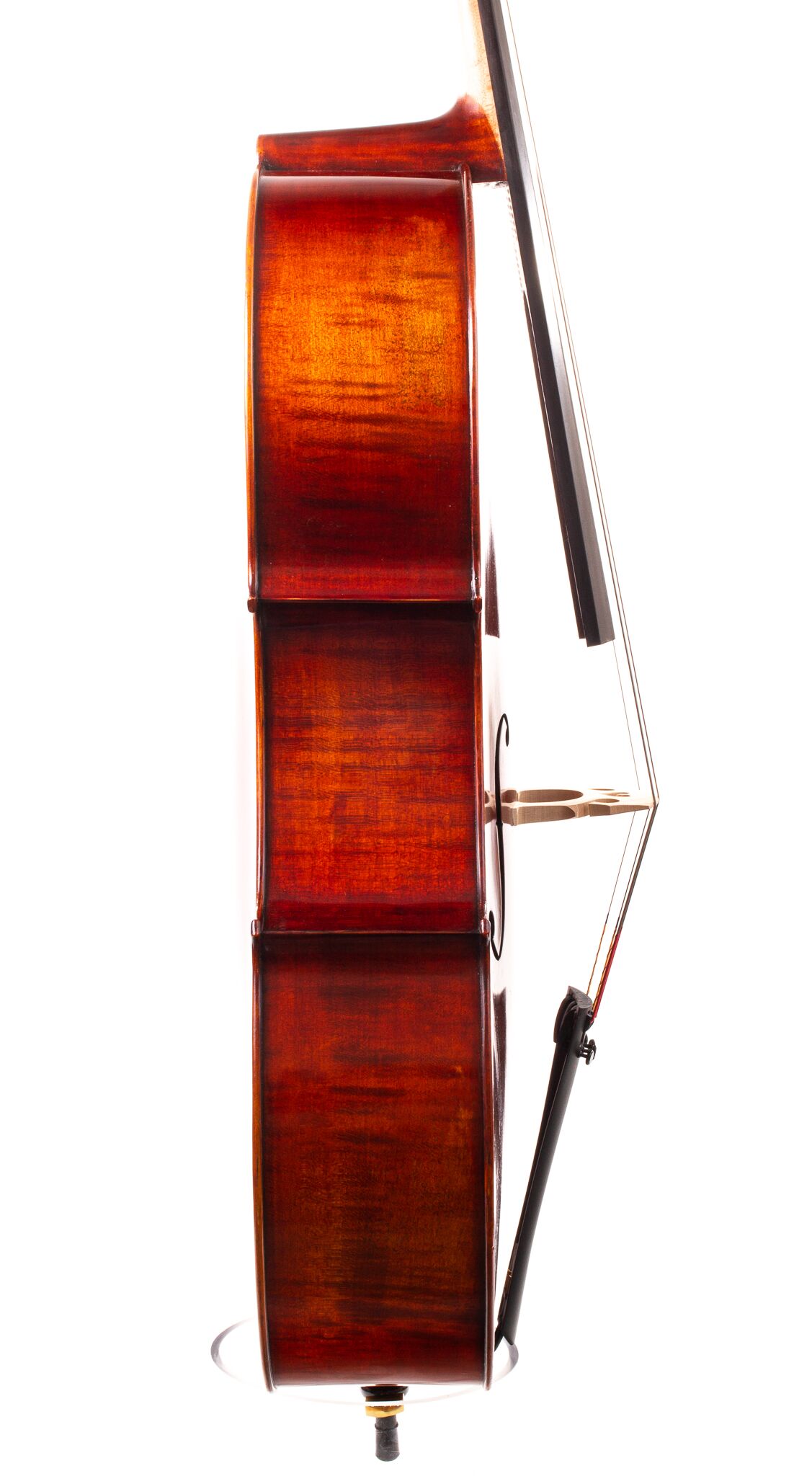ivan-dunov-eastman-cello-08