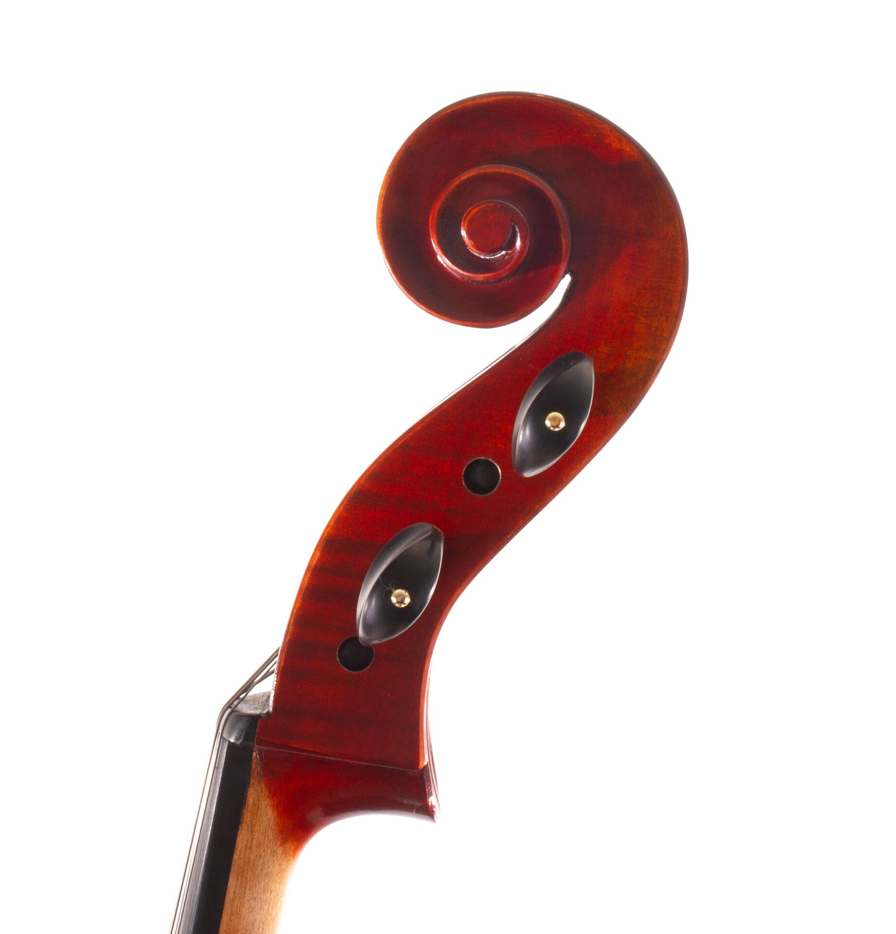 jean-pierre-lupot-cello-eastman-501-04