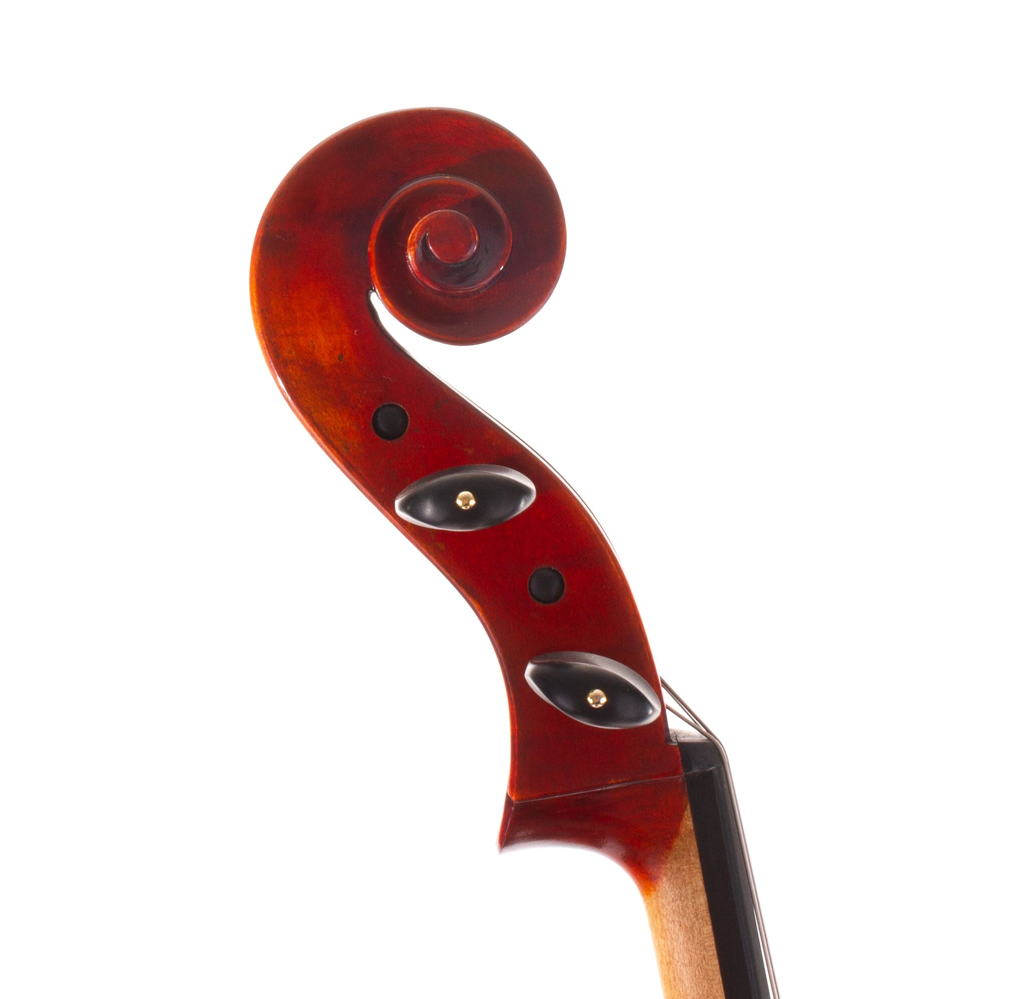 jean-pierre-lupot-cello-eastman-501-06