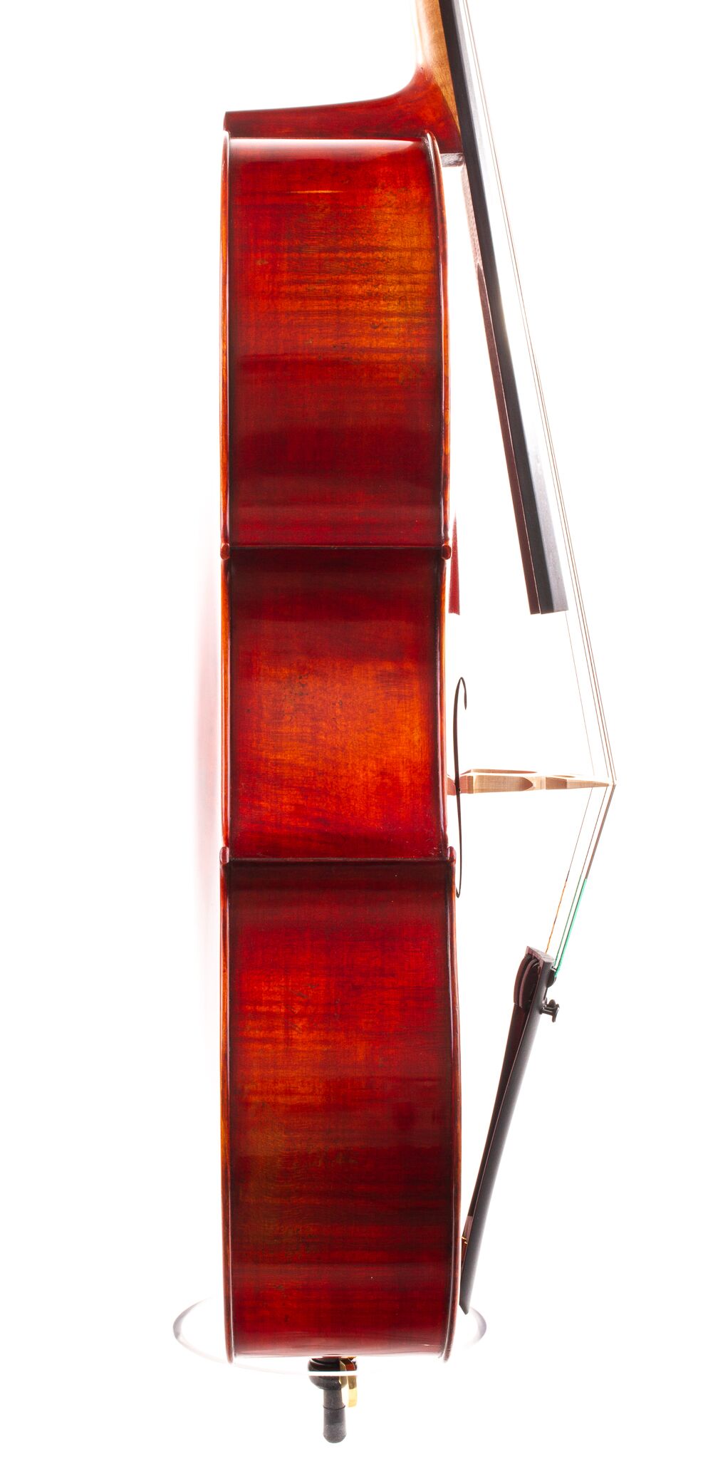 jean-pierre-lupot-cello-eastman-501-07