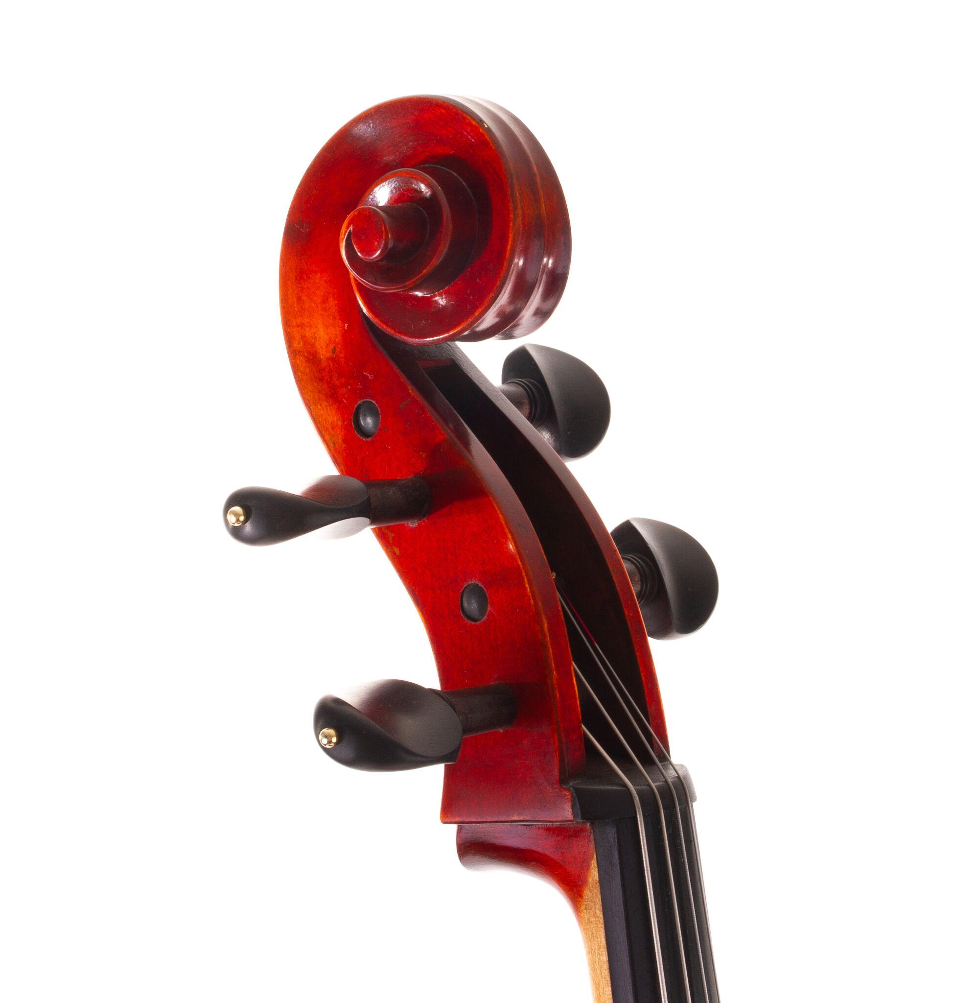 jean-pierre-lupot-cello-eastman-501-08