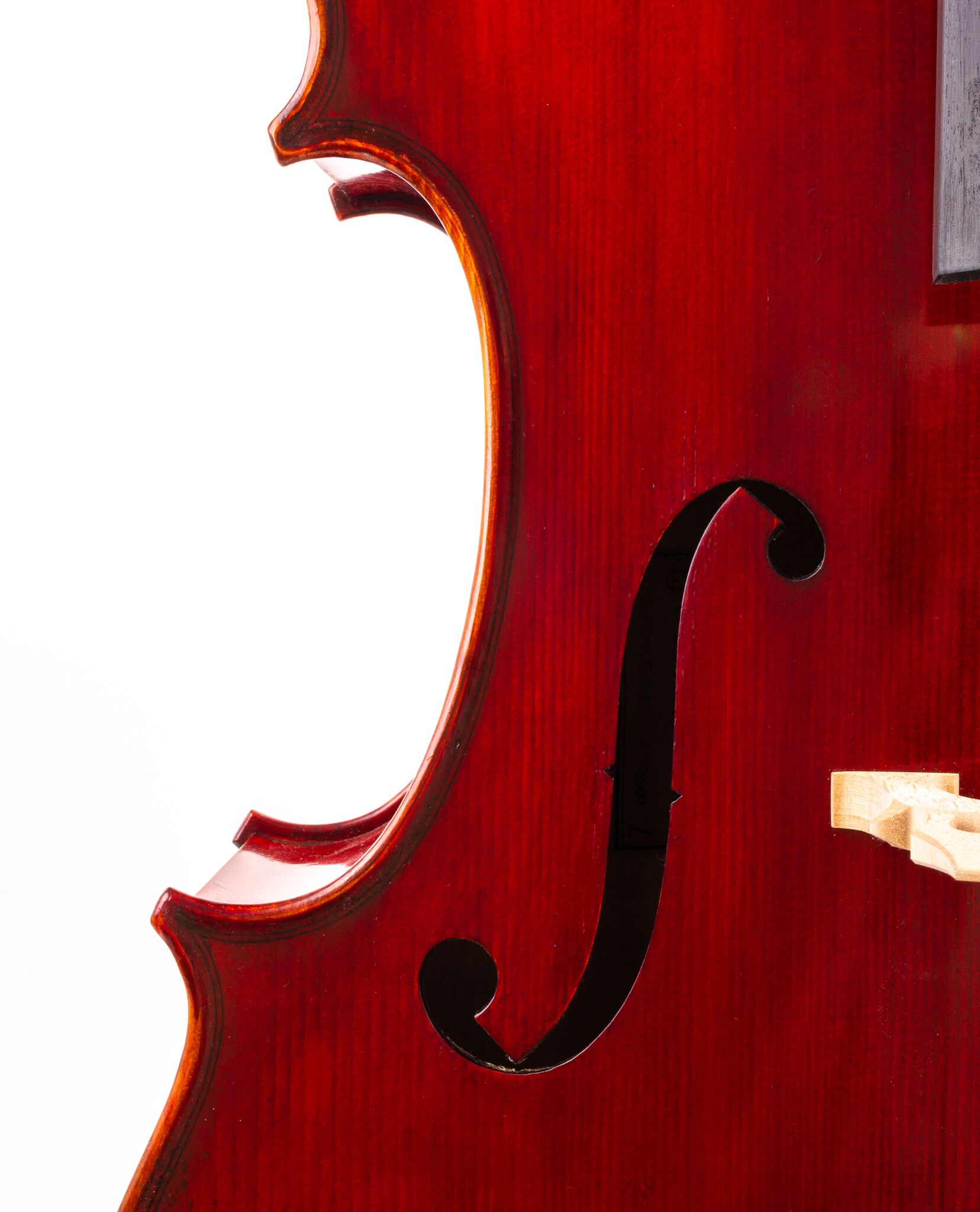 jean-pierre-lupot-cello-eastman-501-10