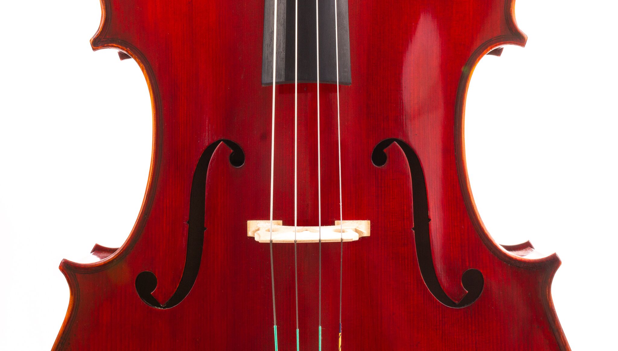 jean-pierre-lupot-cello-eastman-501-11