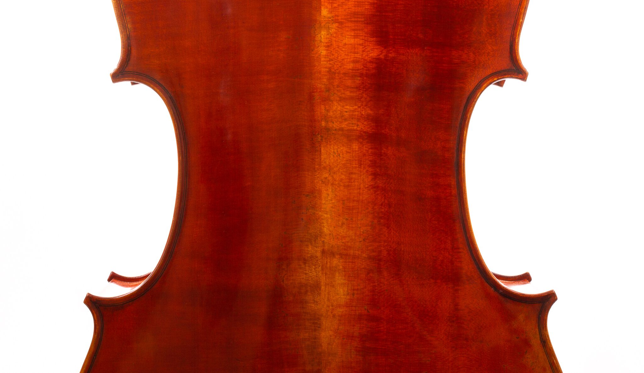 eastman-albert-nebel-cello-02