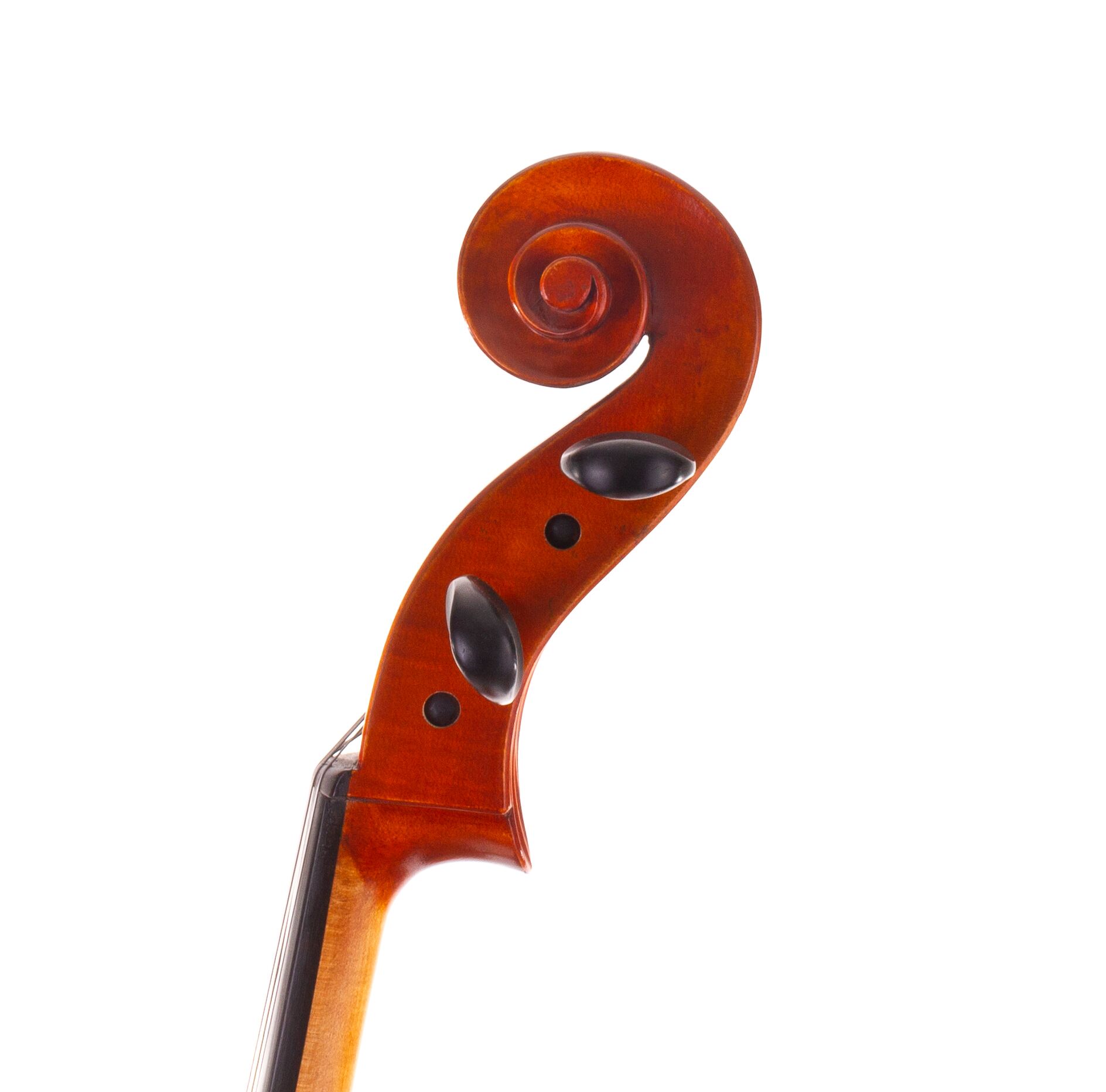 eastman-albert-nebel-cello-04