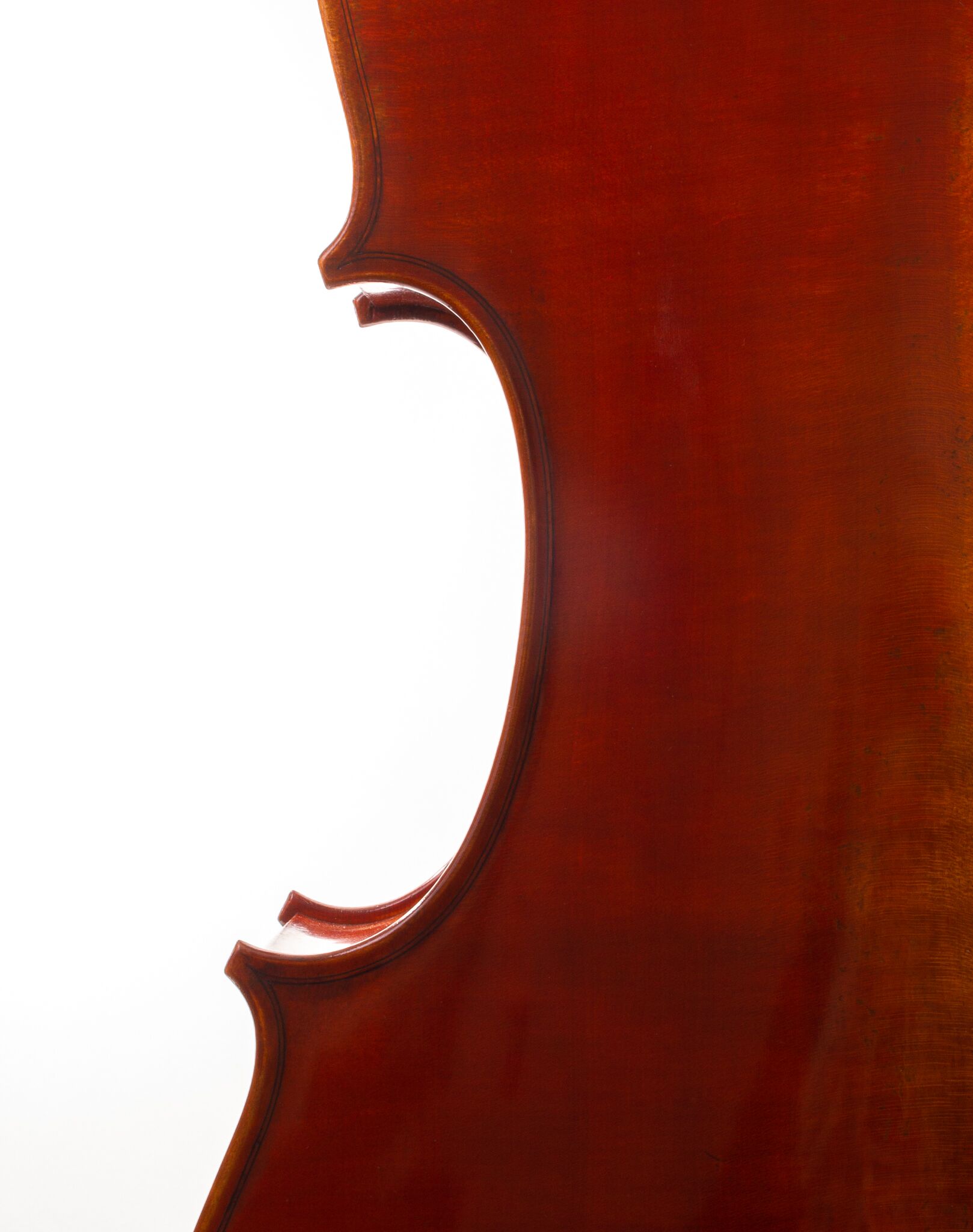 eastman-albert-nebel-cello-1