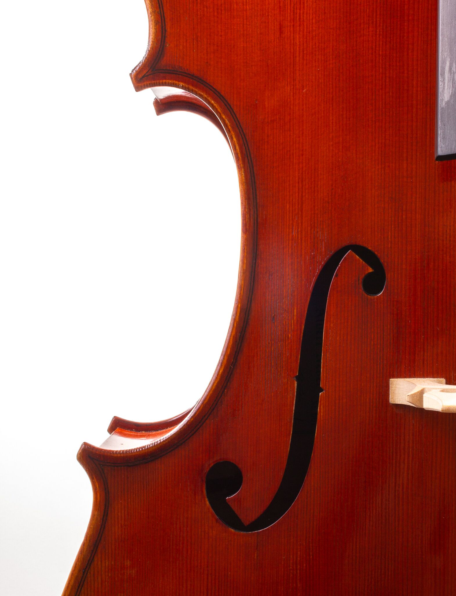 eastman-albert-nebel-cello-10