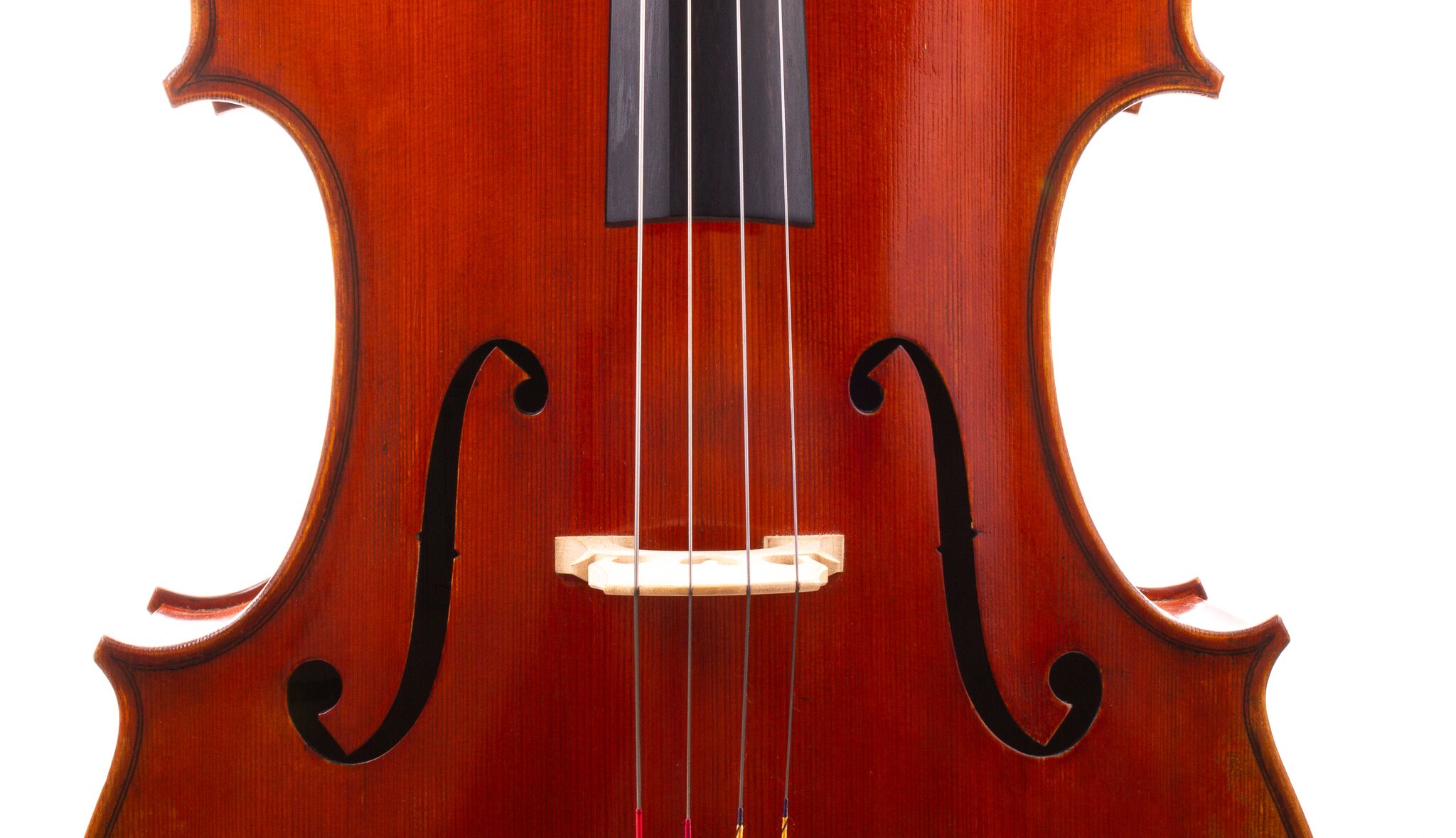 eastman-albert-nebel-cello-11