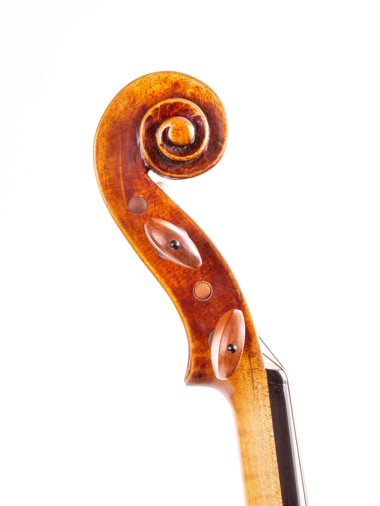 douglas-cox-storioni-violin-2017-42