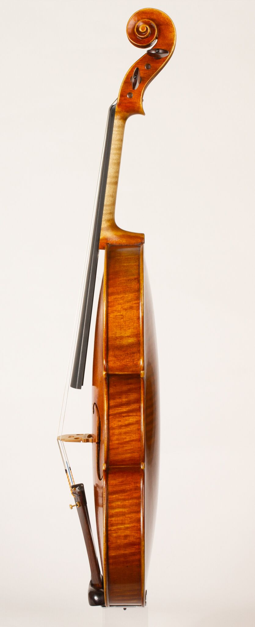 Thomas Oliver Croen Viola - 2019 - Dolce Violins 3 Thomas Oliver Croen Viola - 2019 - Dolce Violins