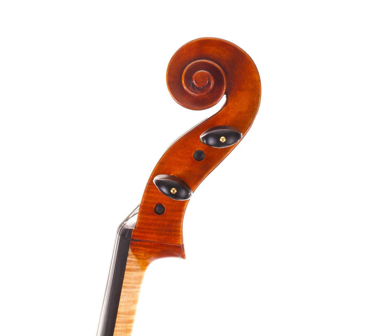wilhelm-klier-guarneri-cello-04