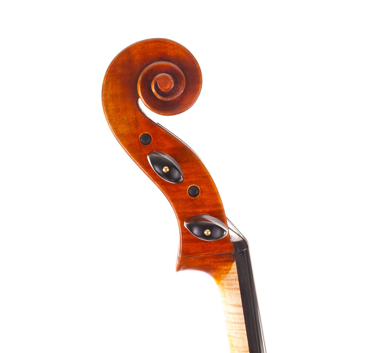 wilhelm-klier-guarneri-cello-06