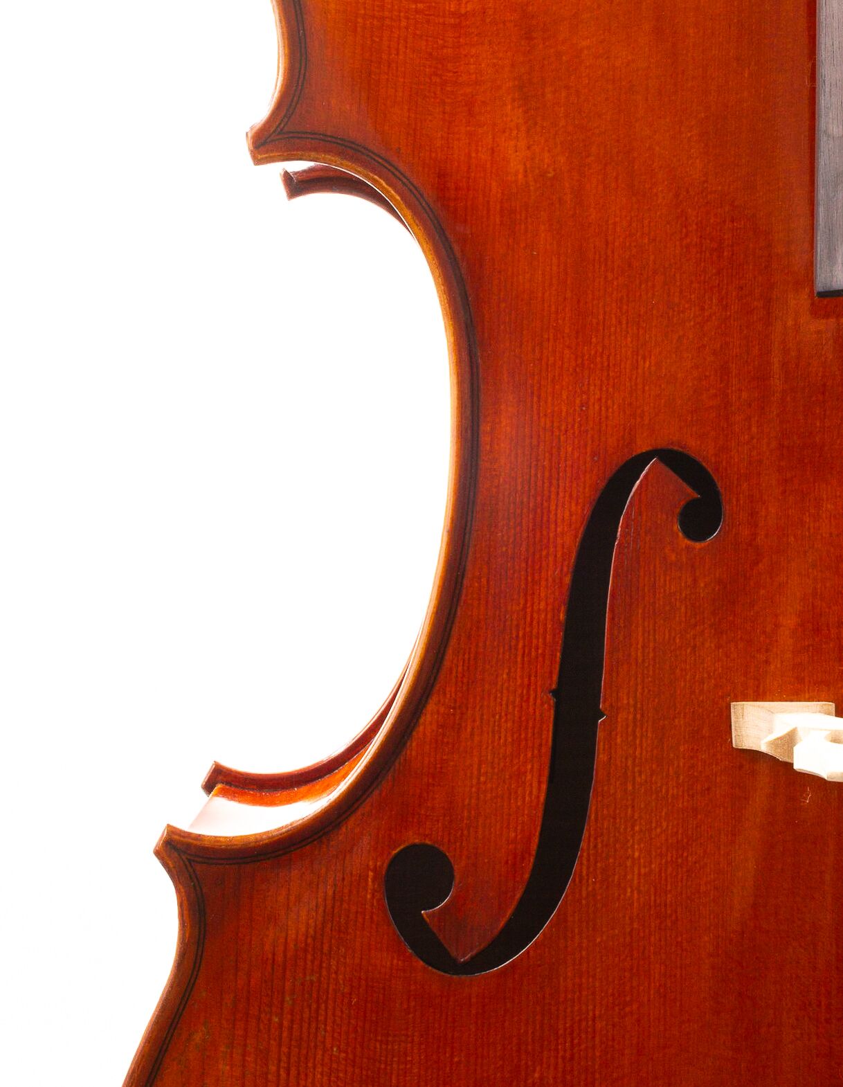 wilhelm-klier-guarneri-cello-10