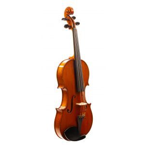 Leopold Widhalm Violin 1765 | Dolce Violins