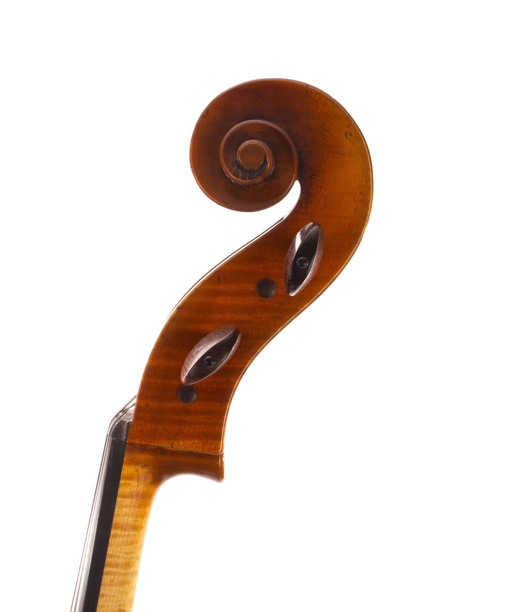 Heinrich Gill Model X7 Cello - 2013 | Dolce Violins