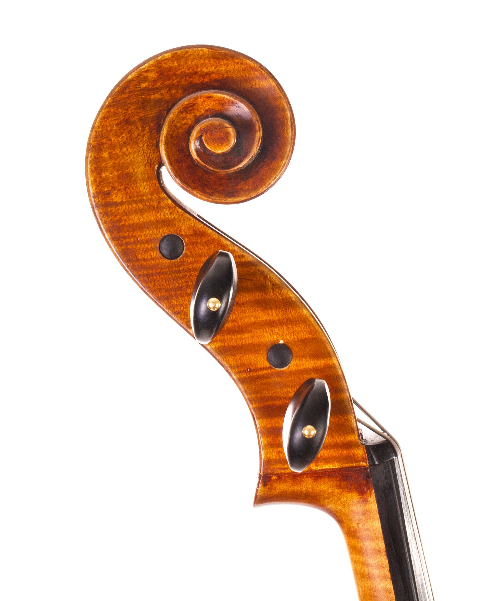 Eastman-830-7-8-Cello-04