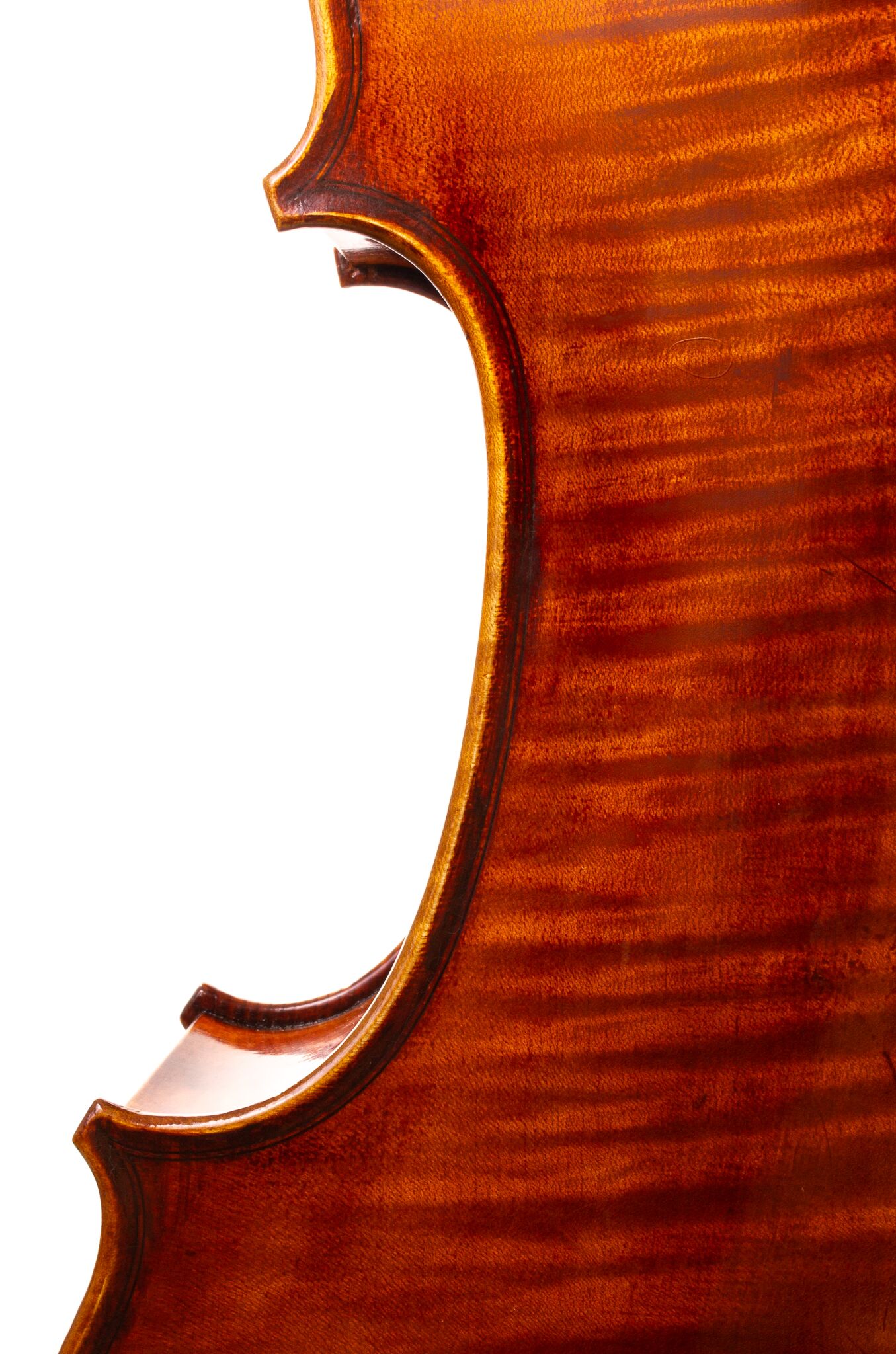 Eastman-830-7-8-Cello-07