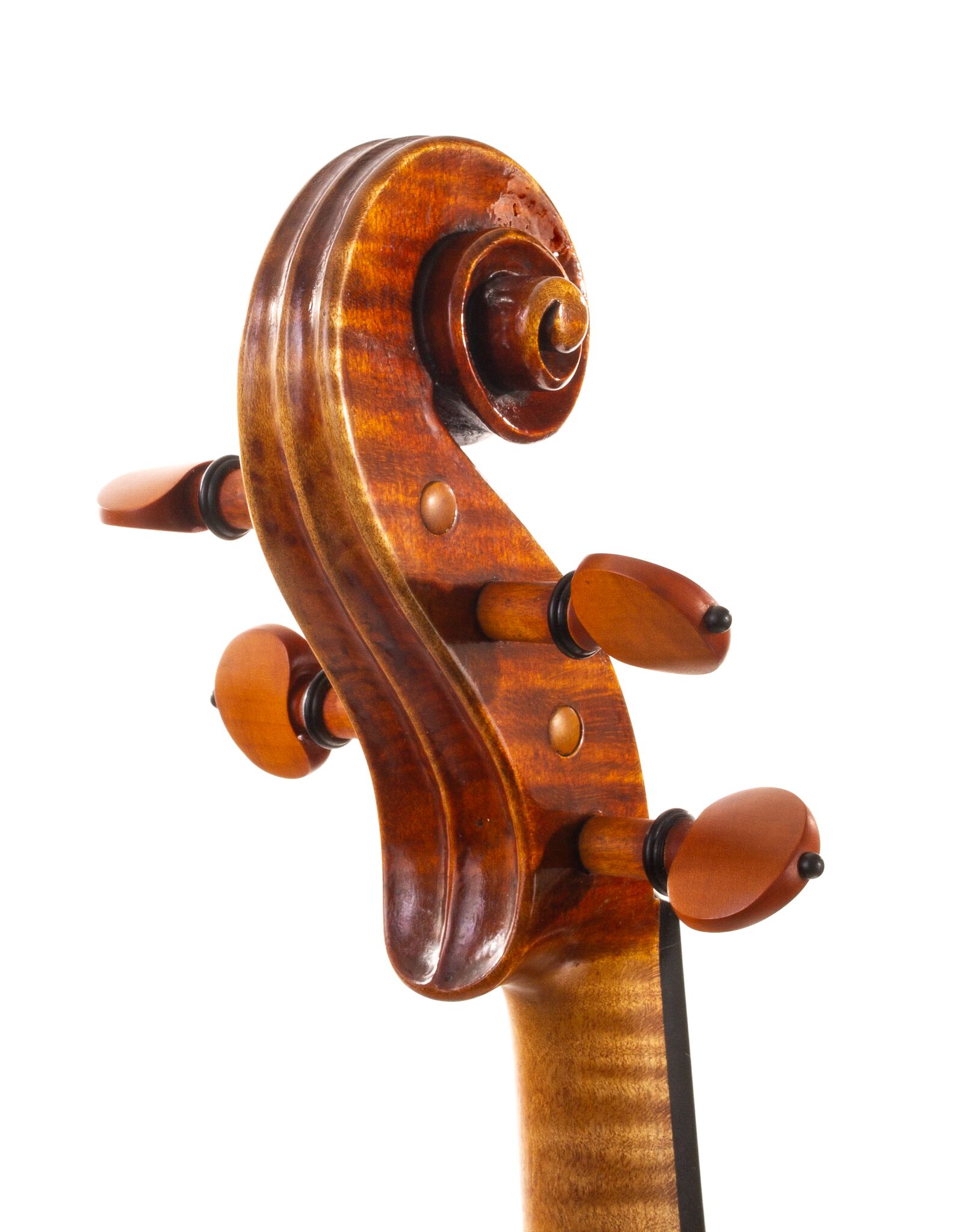 Peter-Bingen-Viola-2024-06