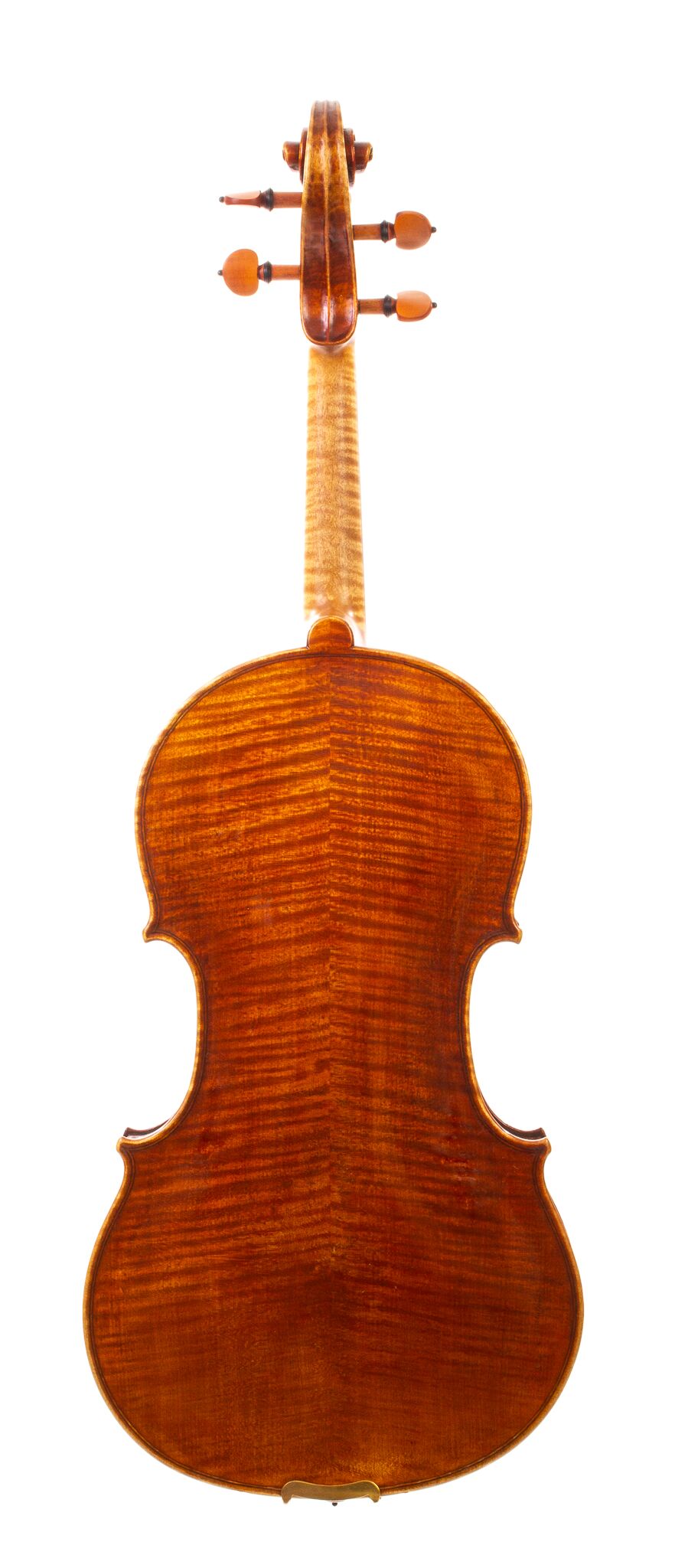 Peter-Bingen-Viola-2024-1