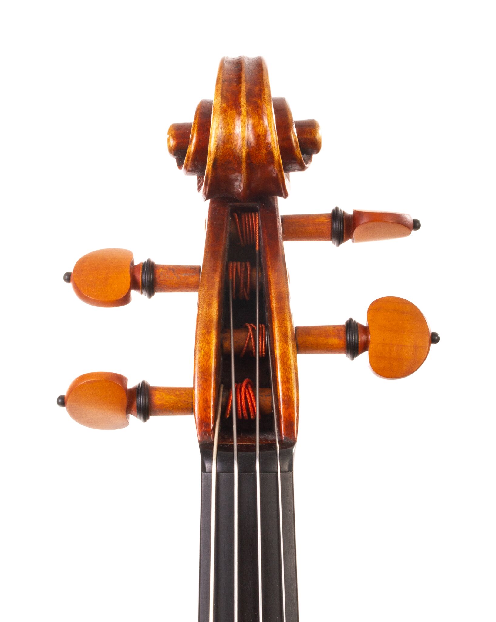 Peter-Bingen-Viola-2024-12