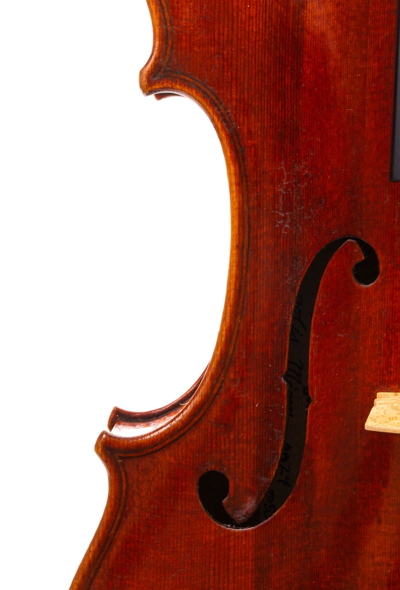 Peter-Bingen-Viola-2024-13