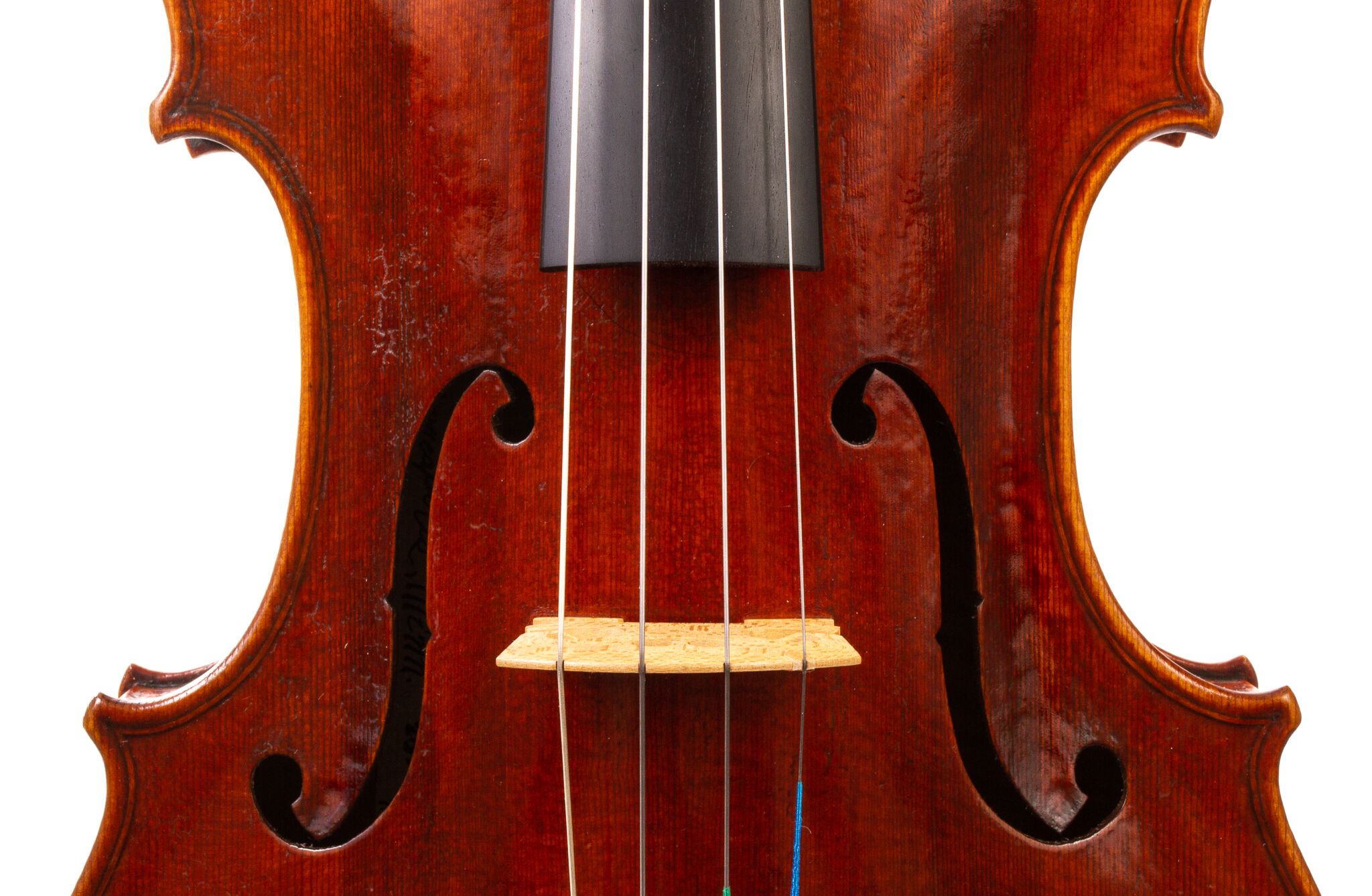 Peter-Bingen-Viola-2024-14