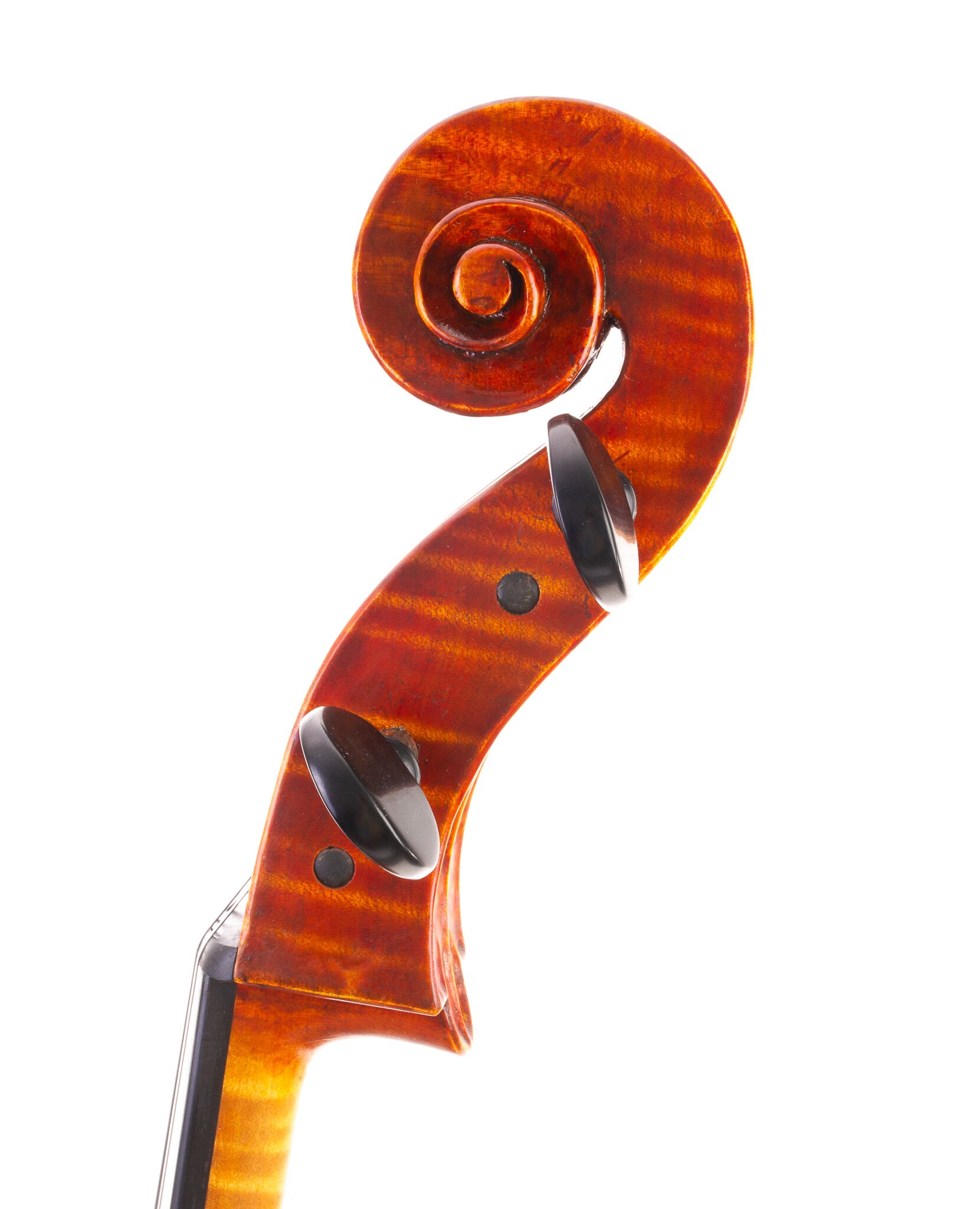 Kurt Jones Cello 2024 Forester Model-05
