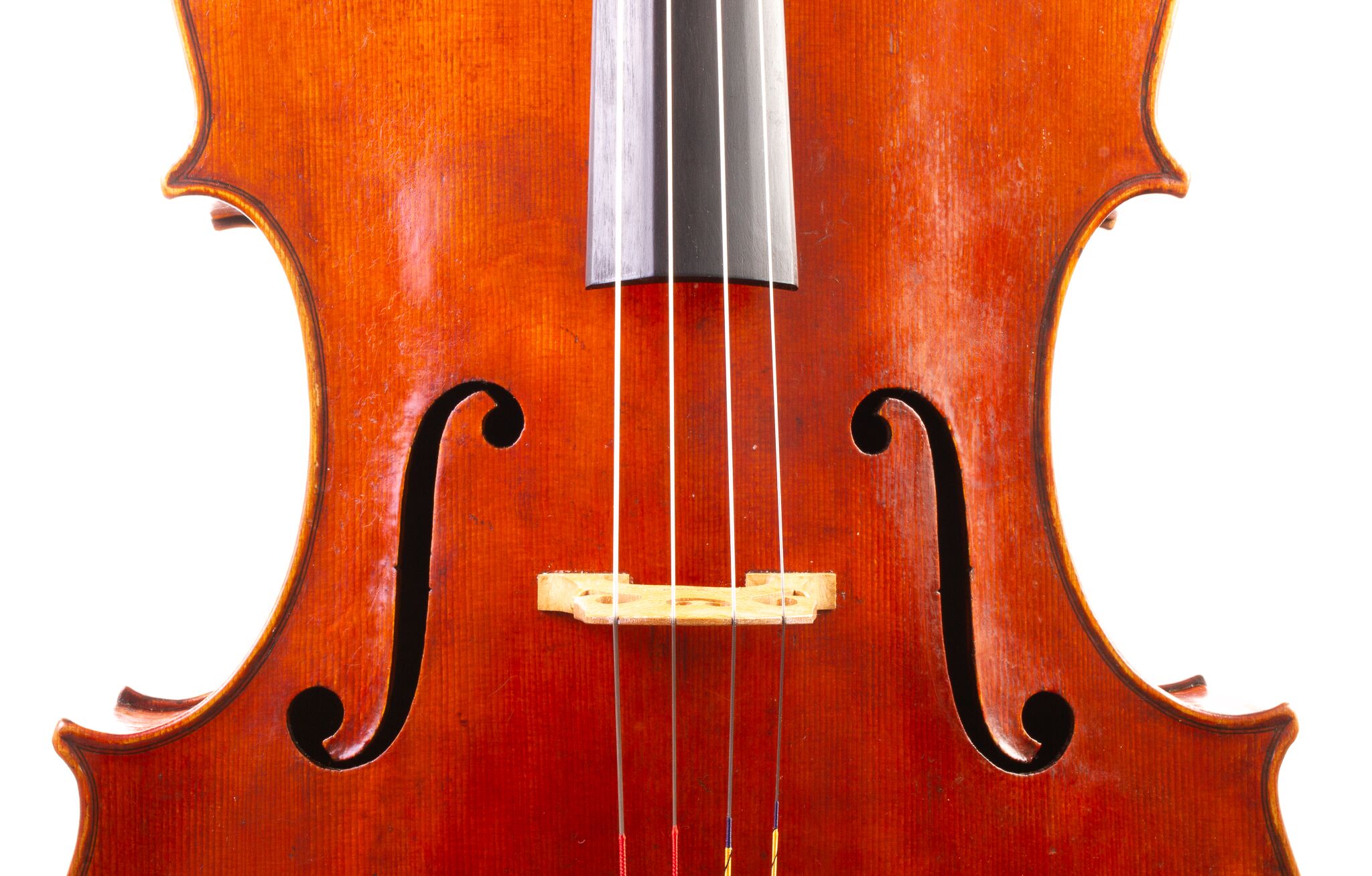 Kurt Jones Cello 2024 Forester Model-10