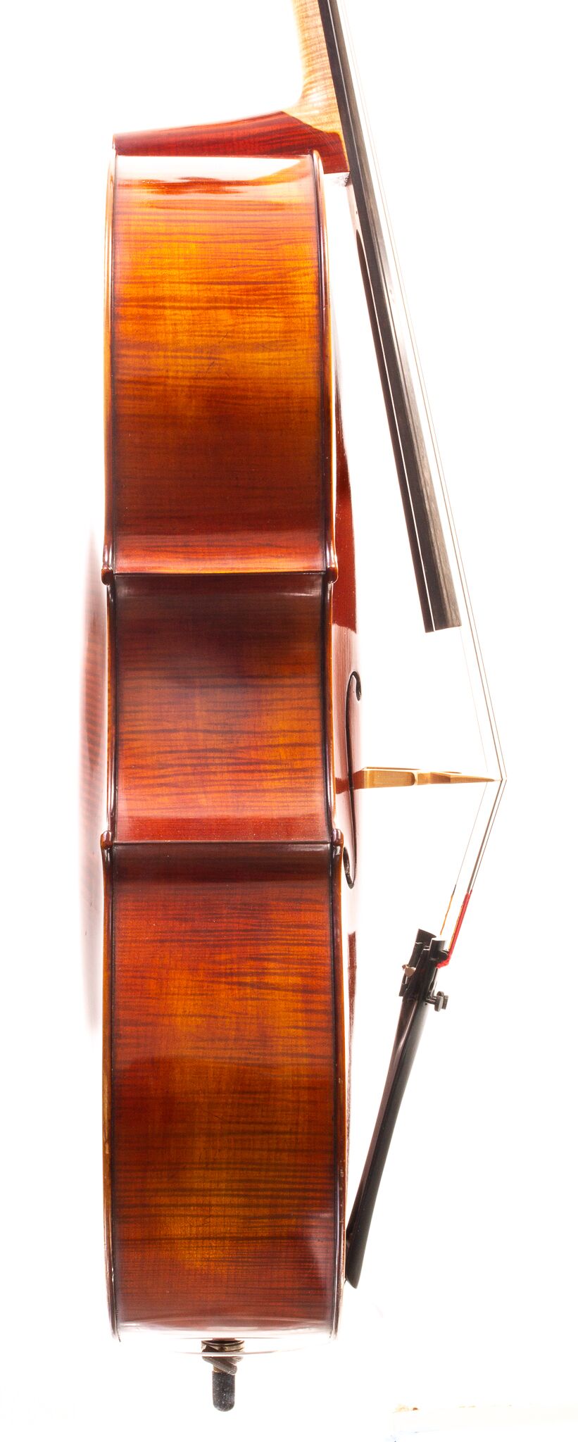 Heinrich Gill Cello 2009-08