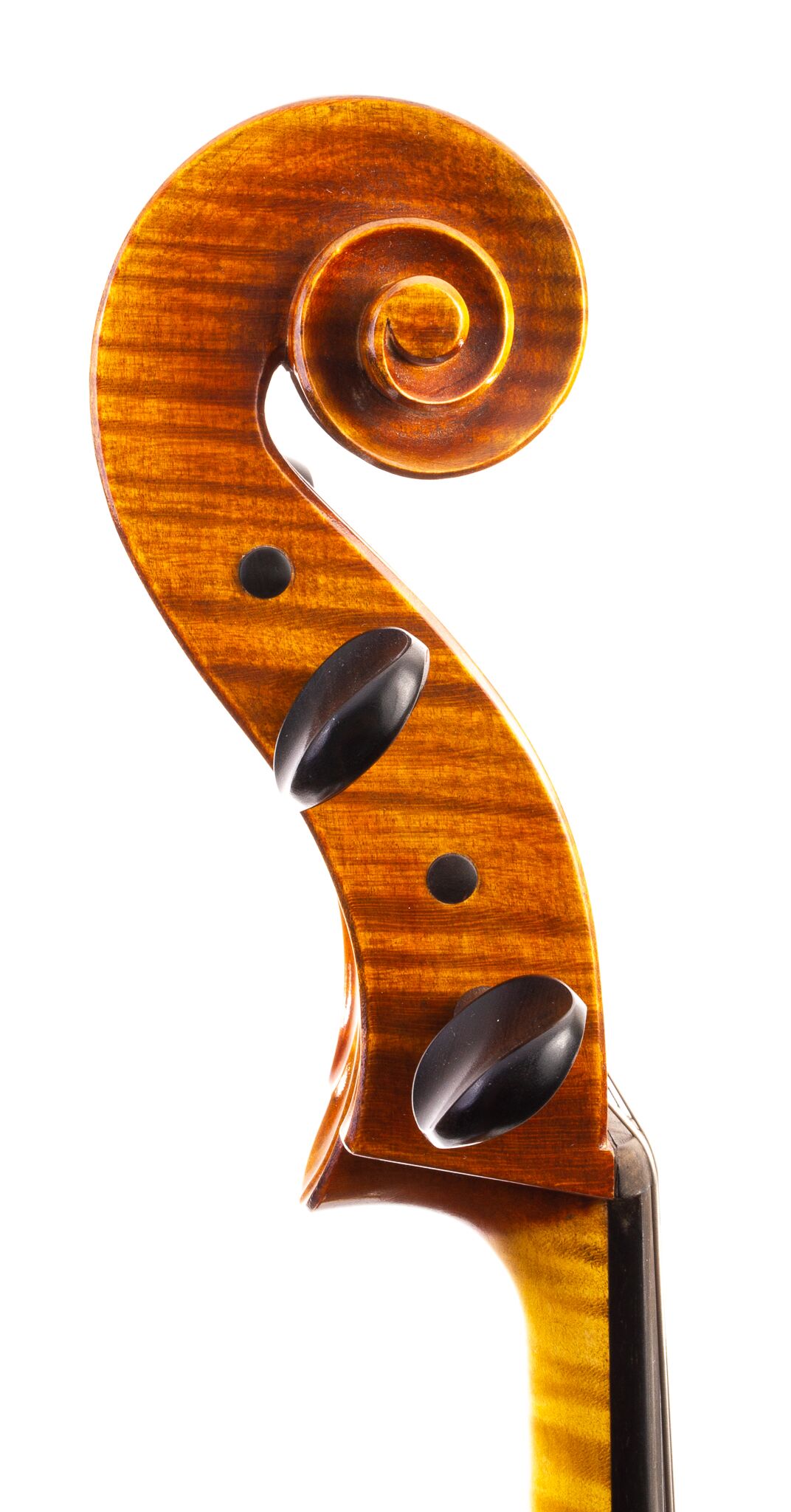 Klaus Heffler Cello Forchheim 2012-02