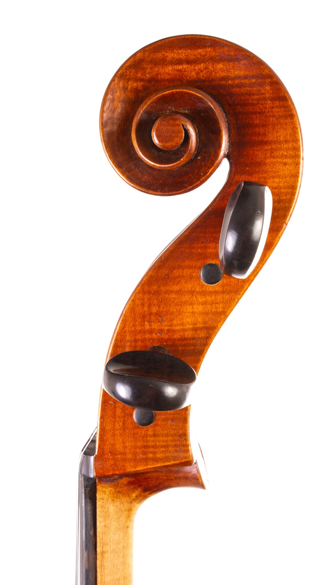 Andrzej Glodek Cello - Nowy Targ 2024-06