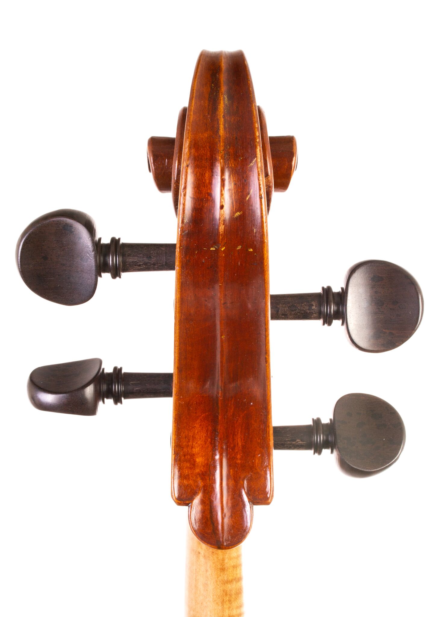 Andrzej Glodek Cello - Nowy Targ 2024-07