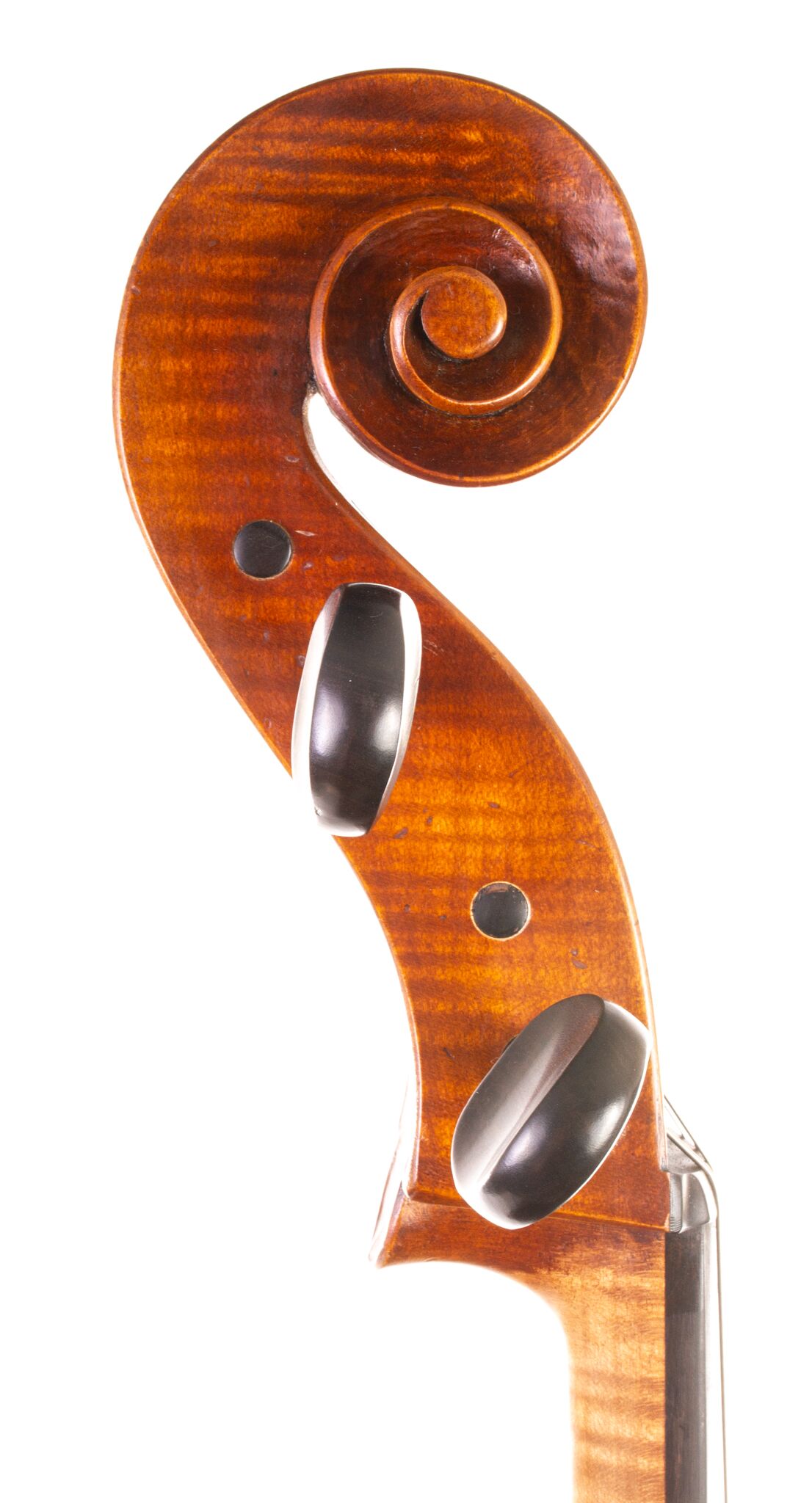 Andrzej Glodek Cello - Nowy Targ 2024-09