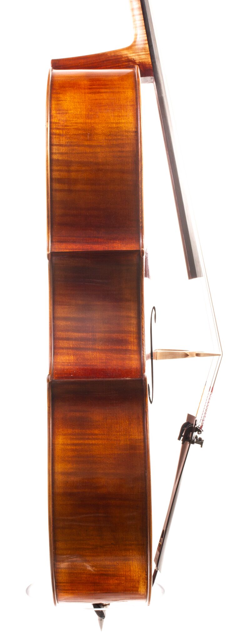 Andrzej Glodek Cello - Nowy Targ 2024-2