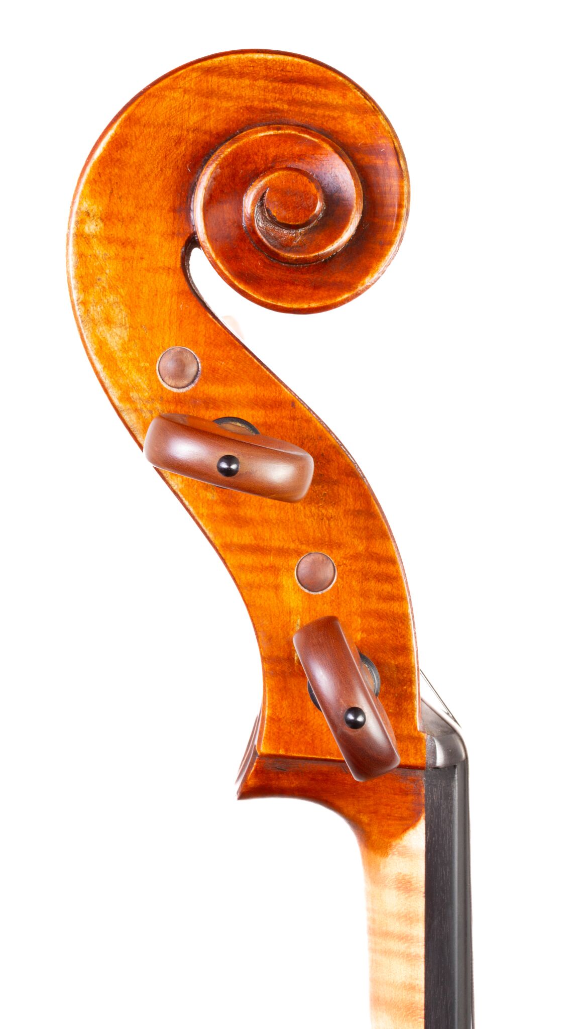 Eastman 405 7_8 Cello - Beijing