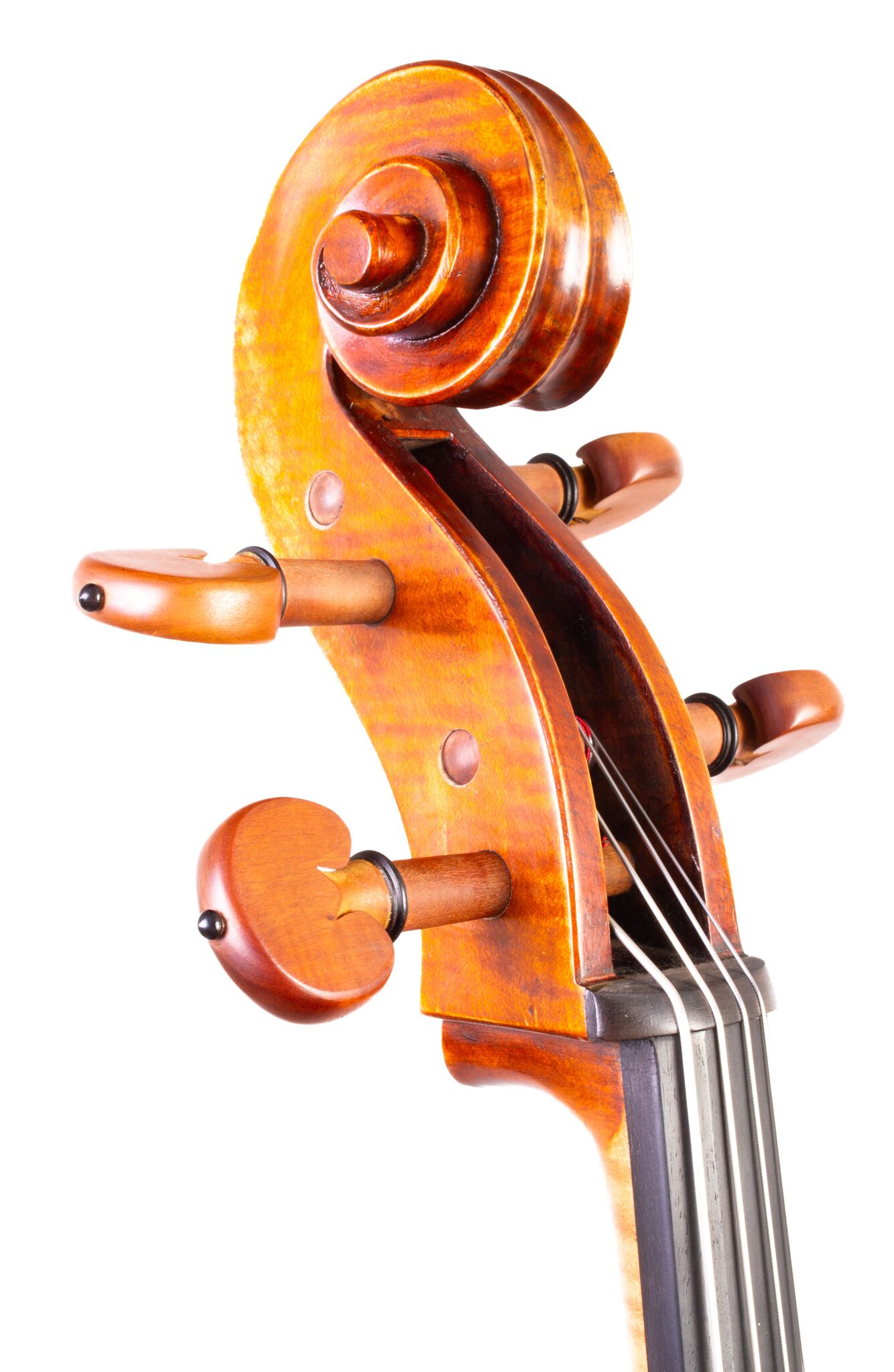 Eastman 405 7_8 Cello - Beijing -01