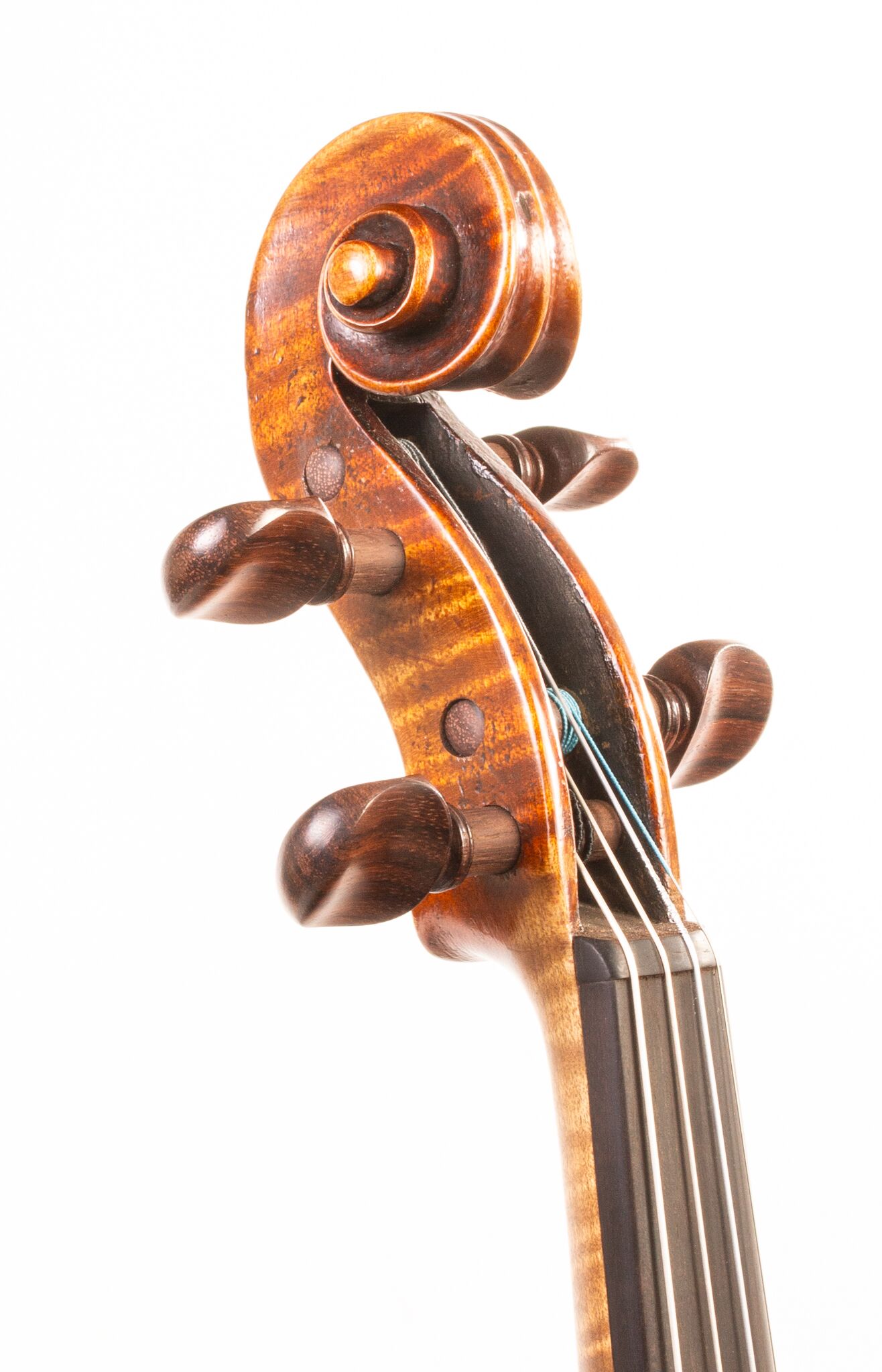 German Violin labeled Strad - C 1915 -05