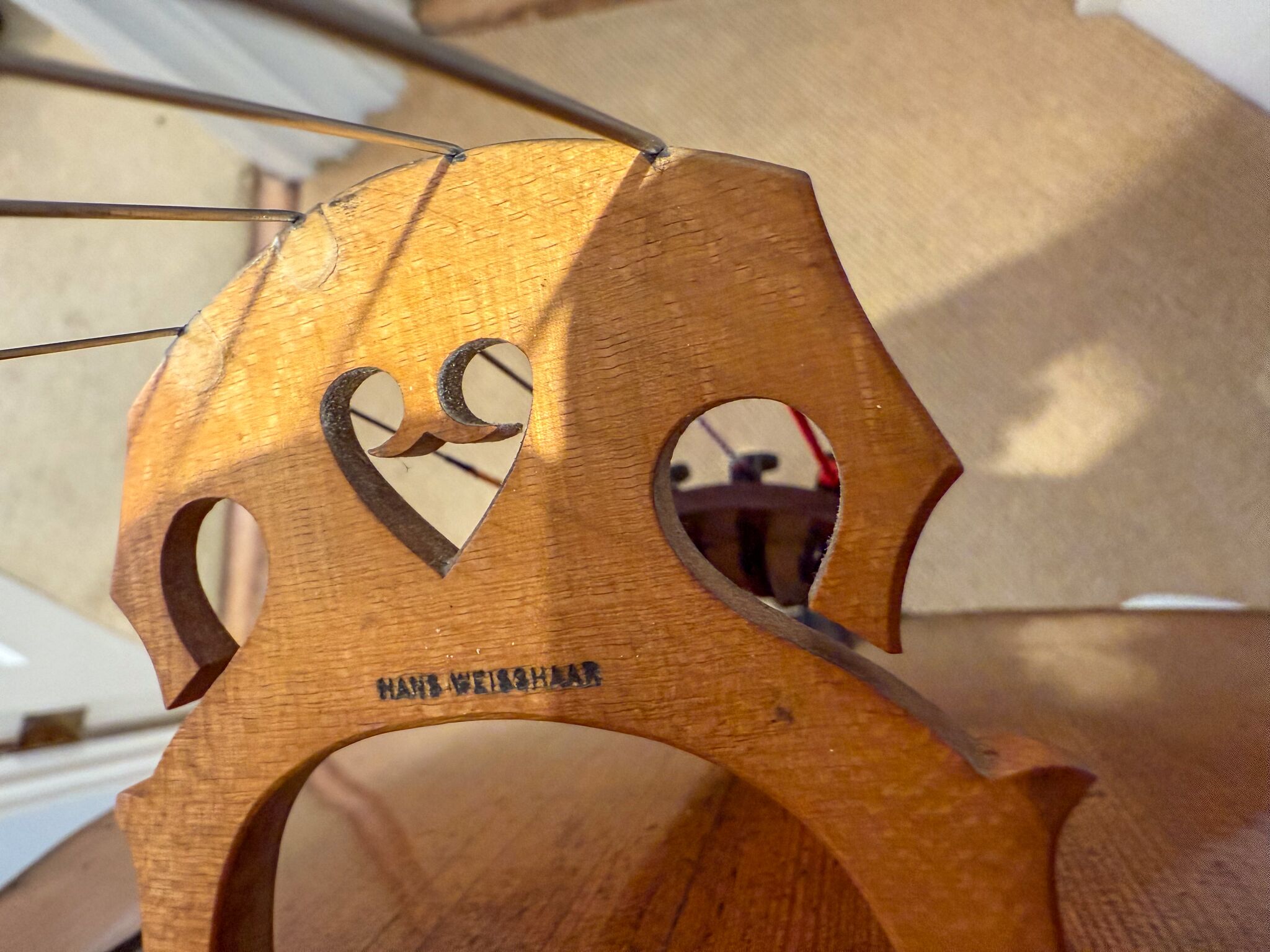 Alexis Vuillaume Cello - Troyes 1