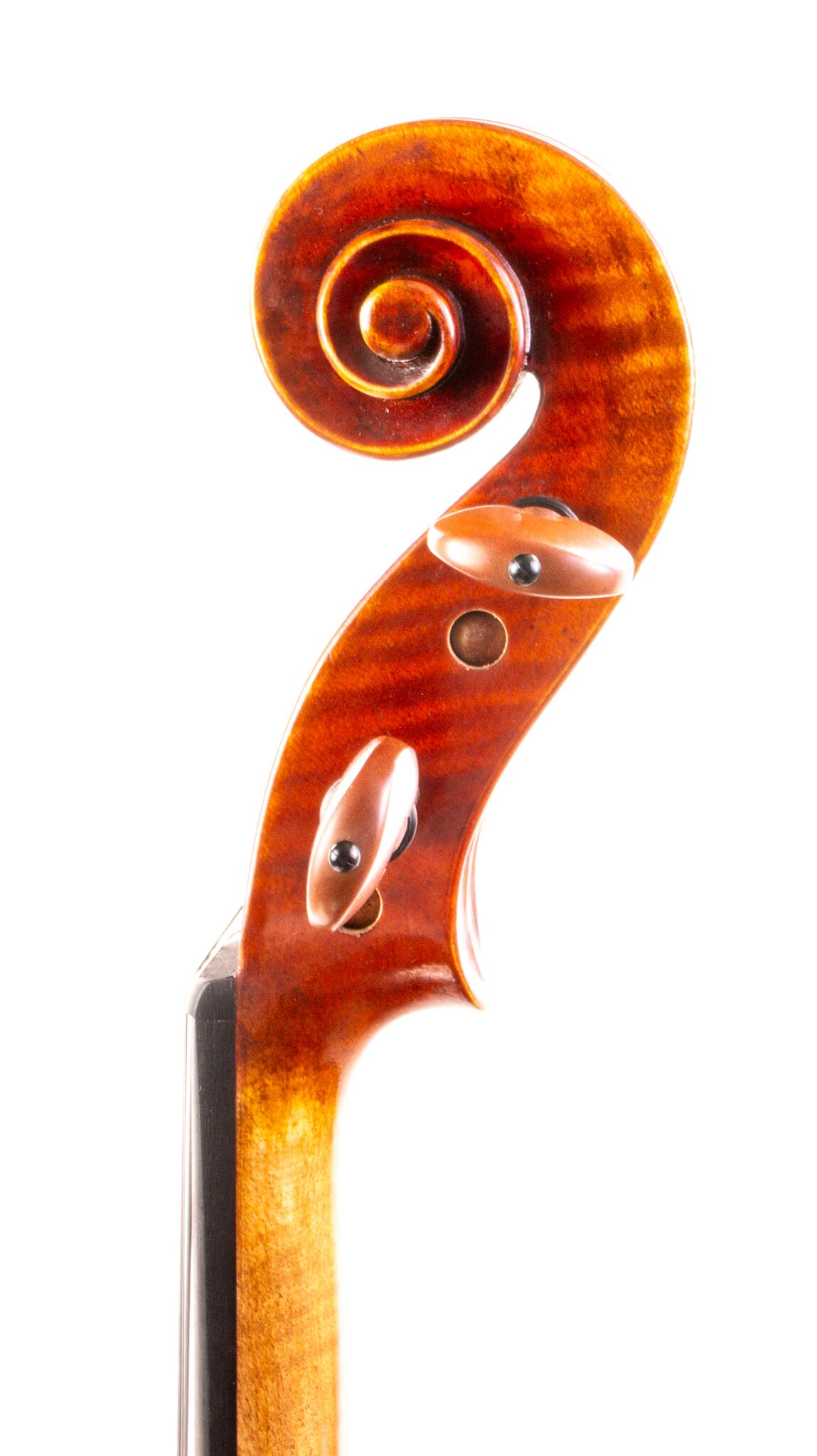 Core Select CS1000 - 2025-7