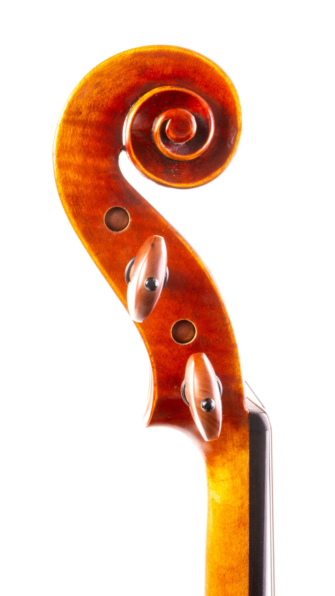 Core Select CS1000 - 2025-8