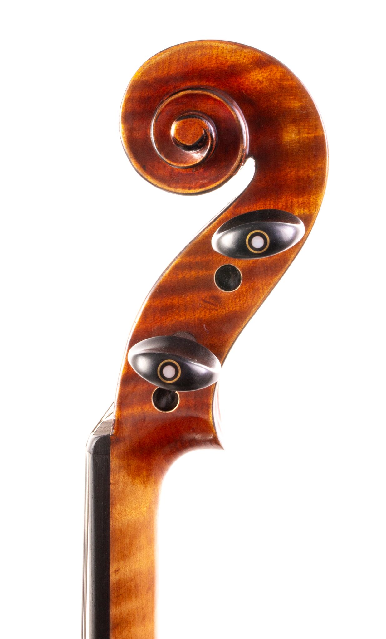 Core Select CS2000-Emiliani - 2025-8