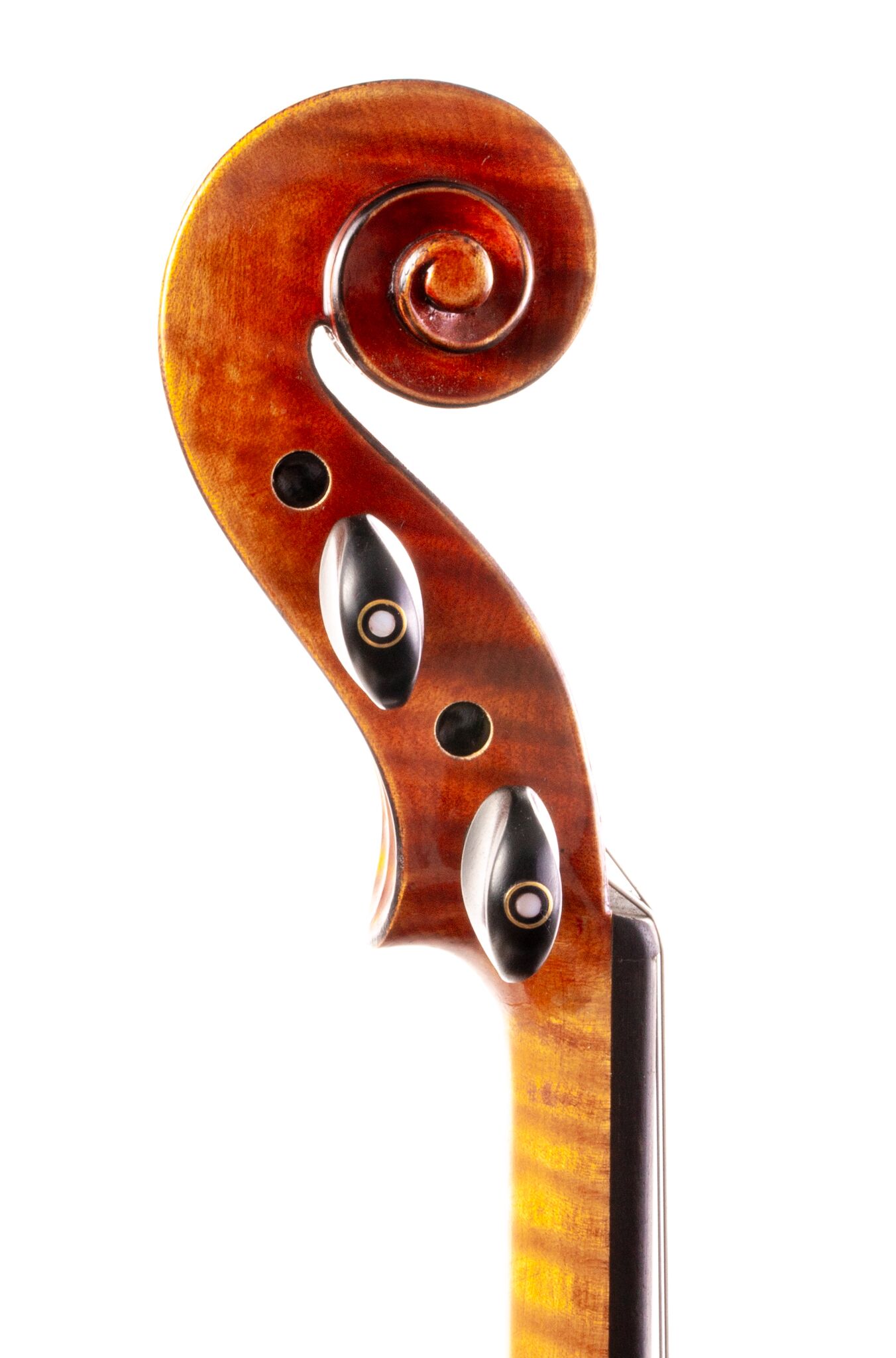 Core Select CS2000-Emiliani - 2025-9