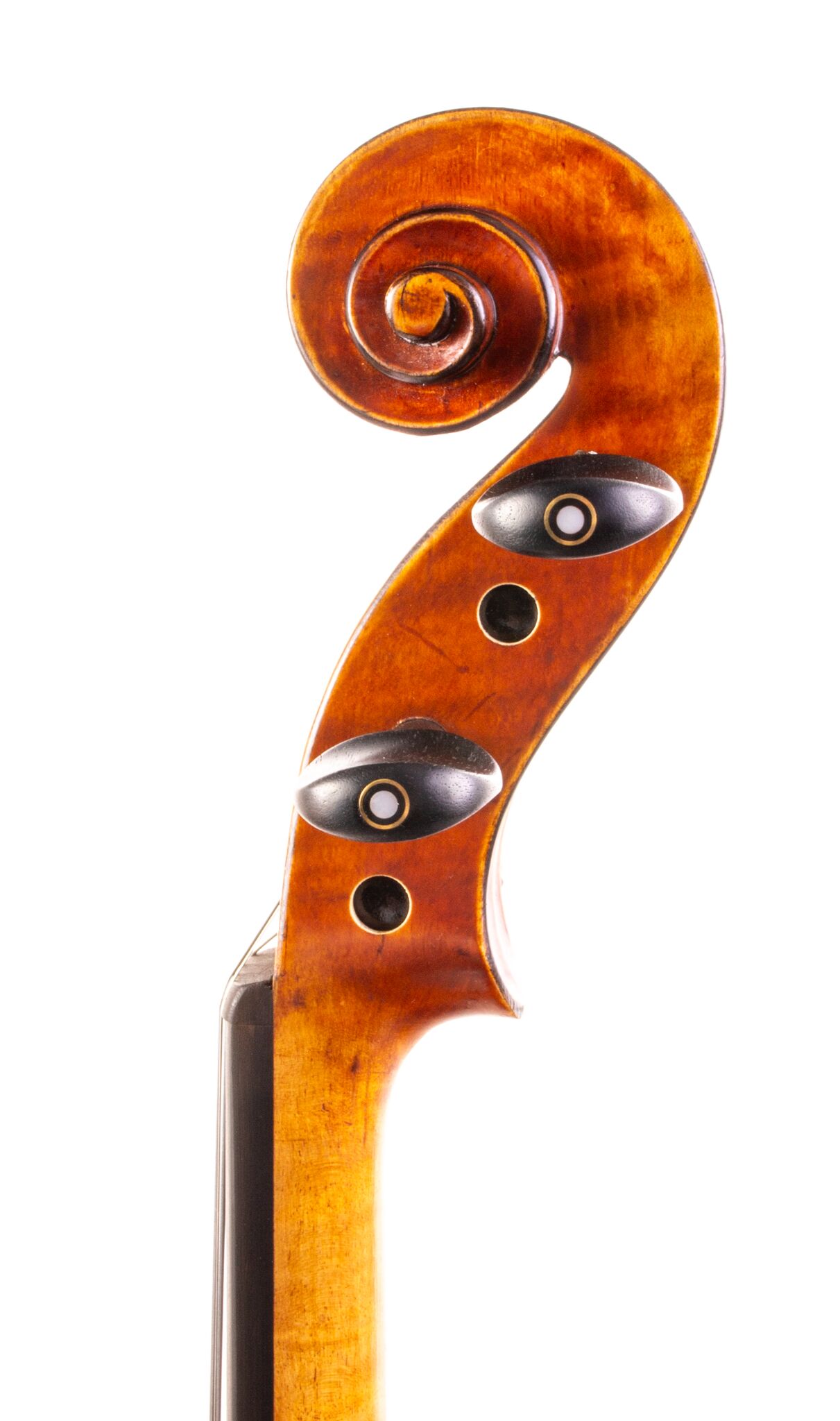 Core Symphony SM-10 Violin - 2025-6