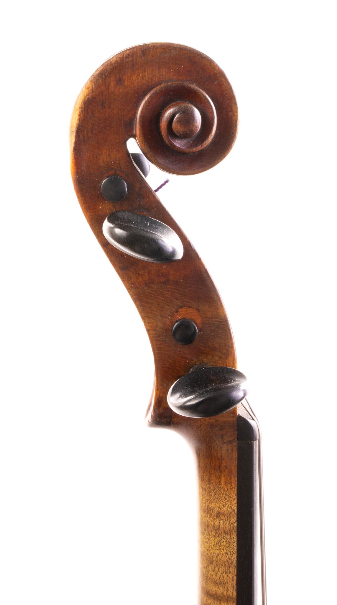 Vincentius Postiglione Violin - Naples 1899-08