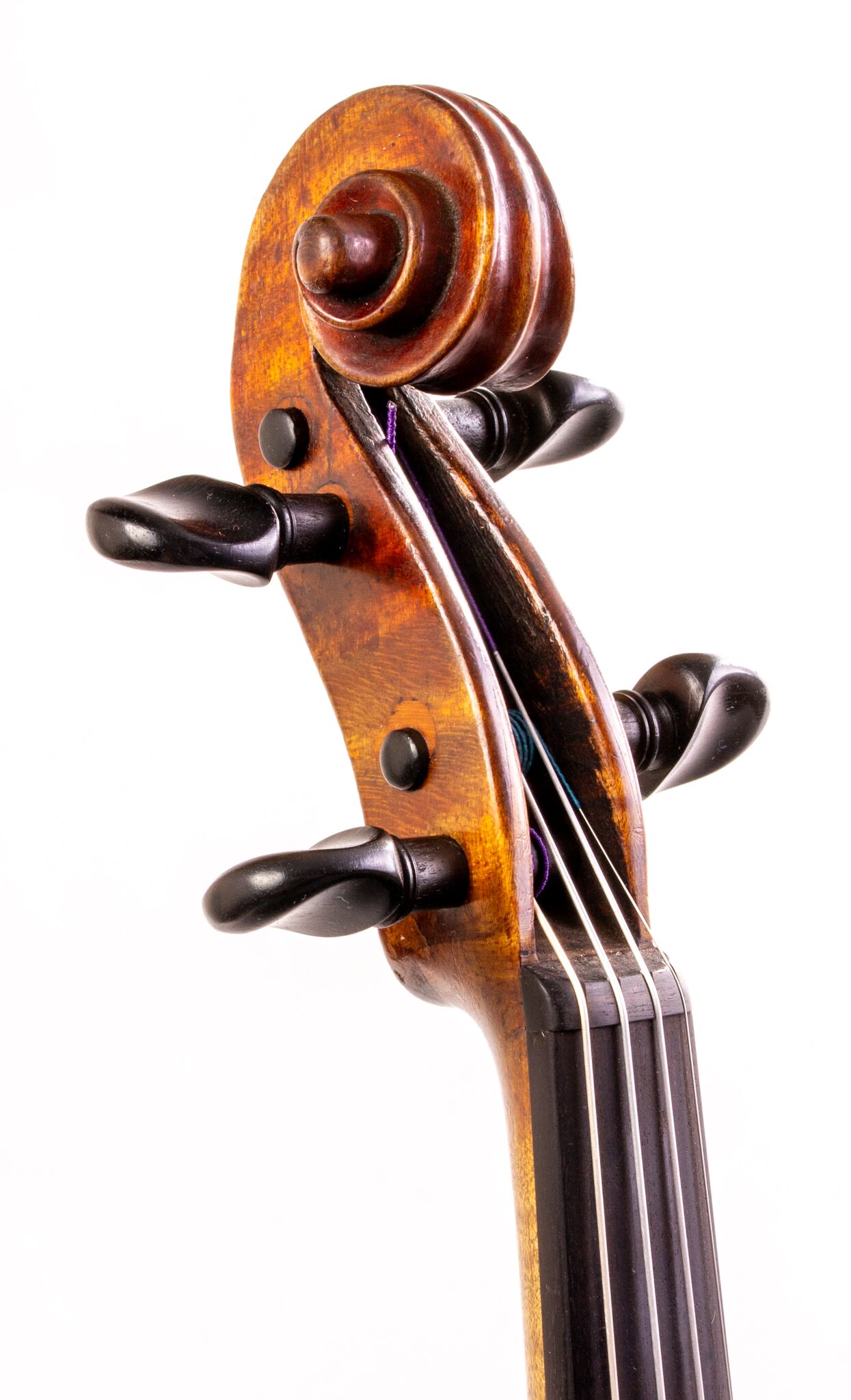 Vincentius Postiglione Violin - Naples 1899-6