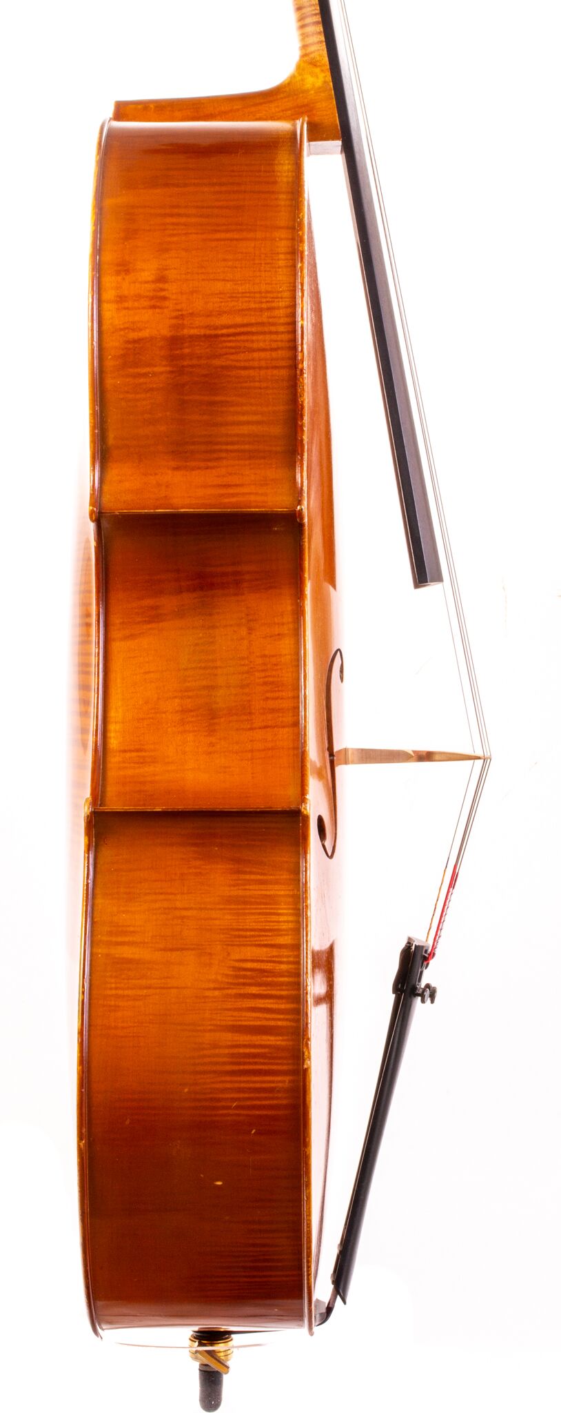 Alain Moinier Cello - Mirecourt circa 1995-10