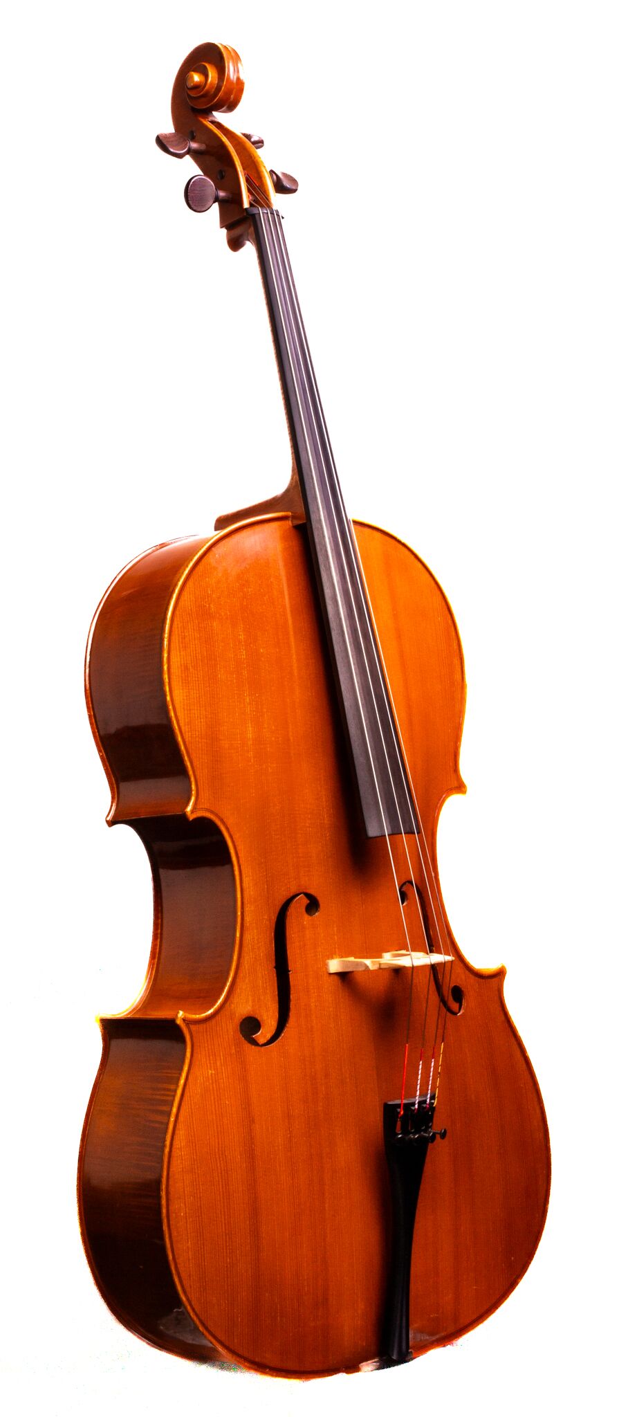 Alain Moinier Cello - Mirecourt circa 1995-3